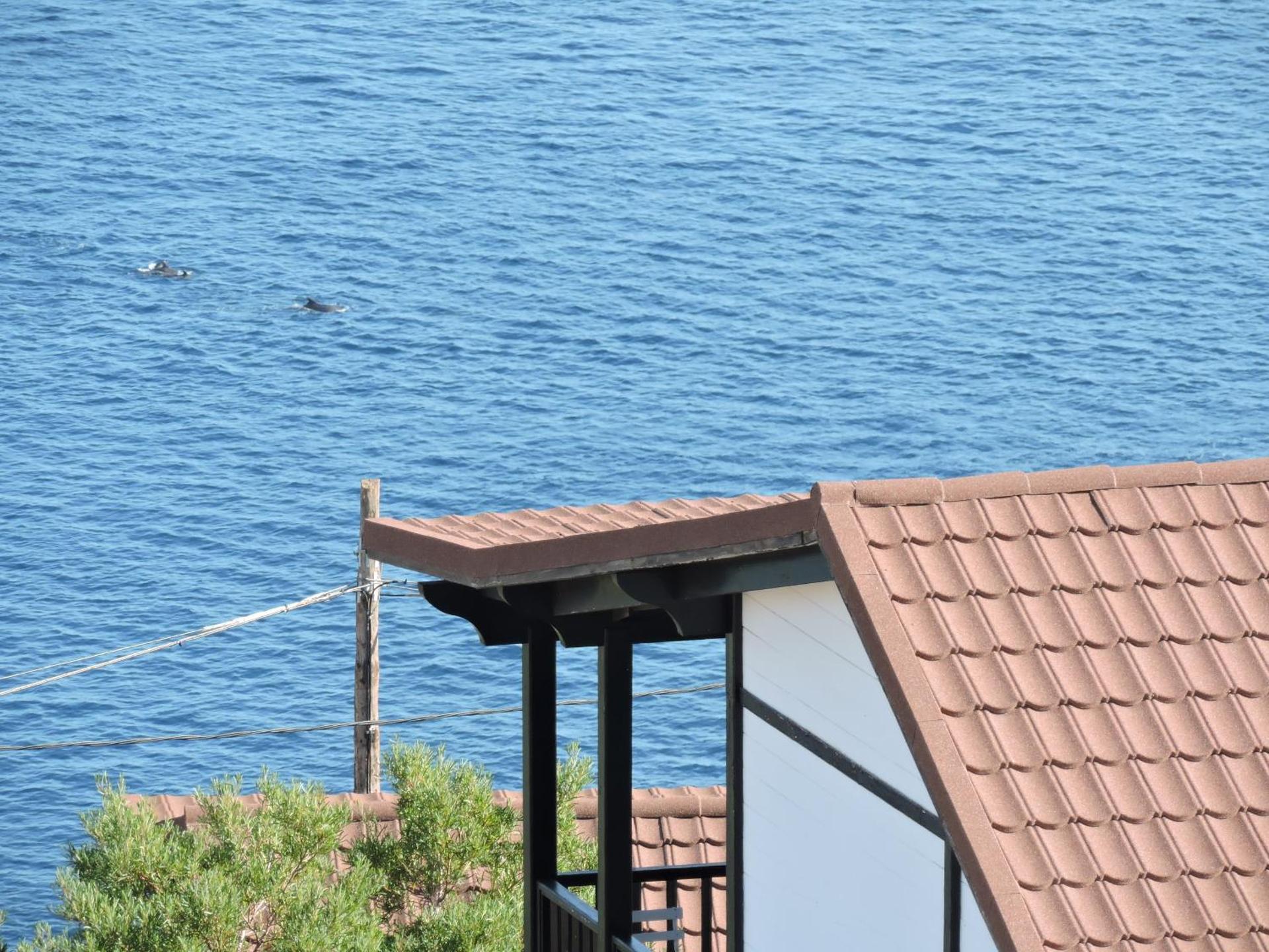 Apartamentos Santa Ana - Adults Only - Photo 19