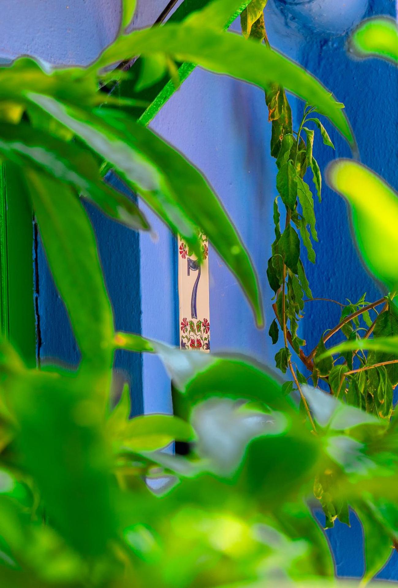 Symi Garden Studios - Photo 137