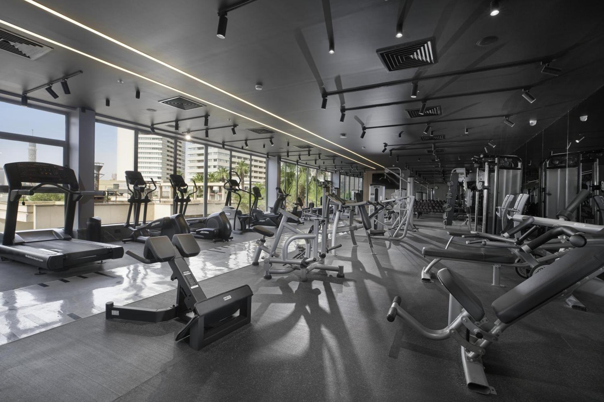 Pyramisa Suites Hotel Cairo - Photo 56