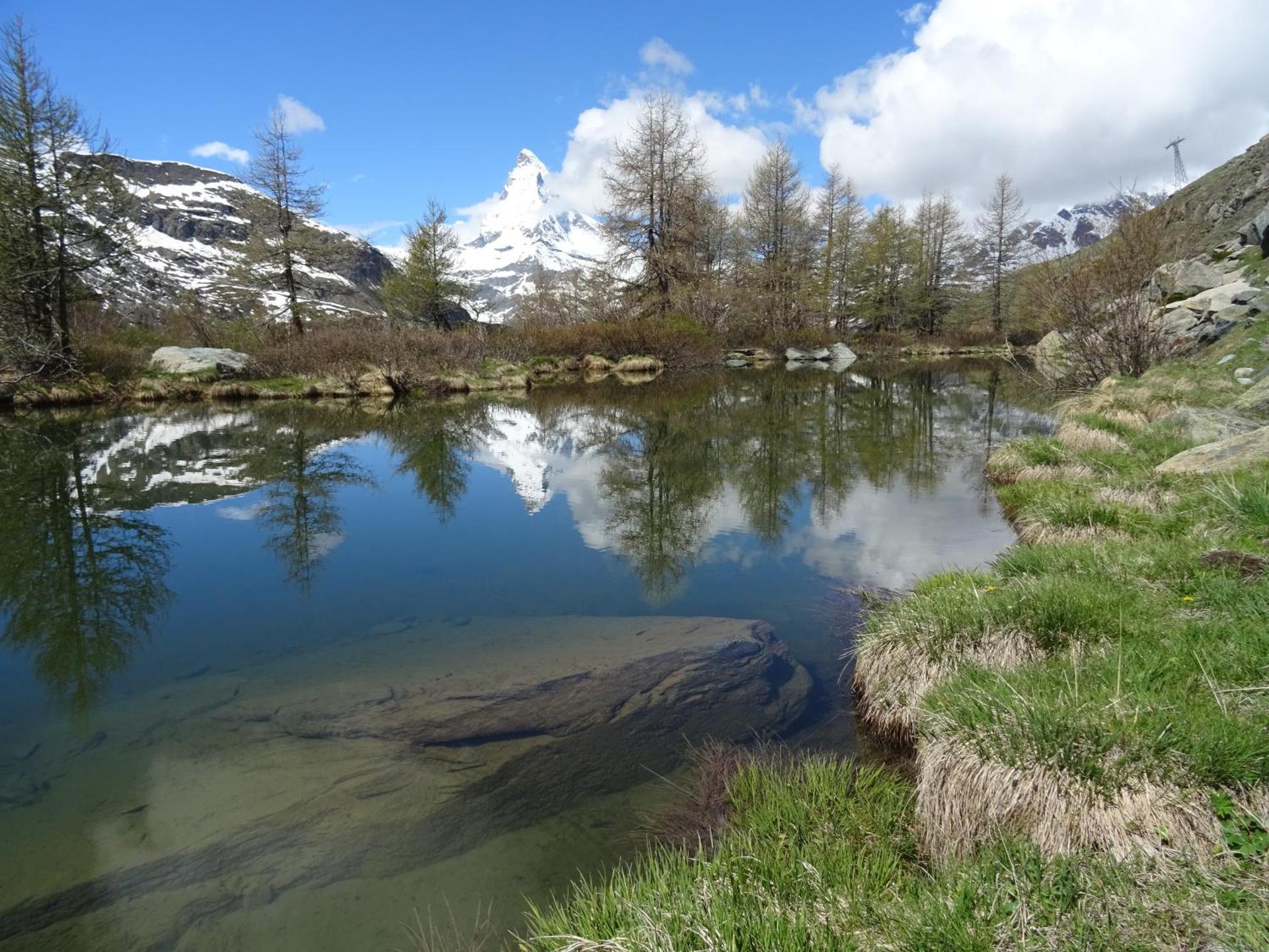 Hotel Phoenix - Photo 20