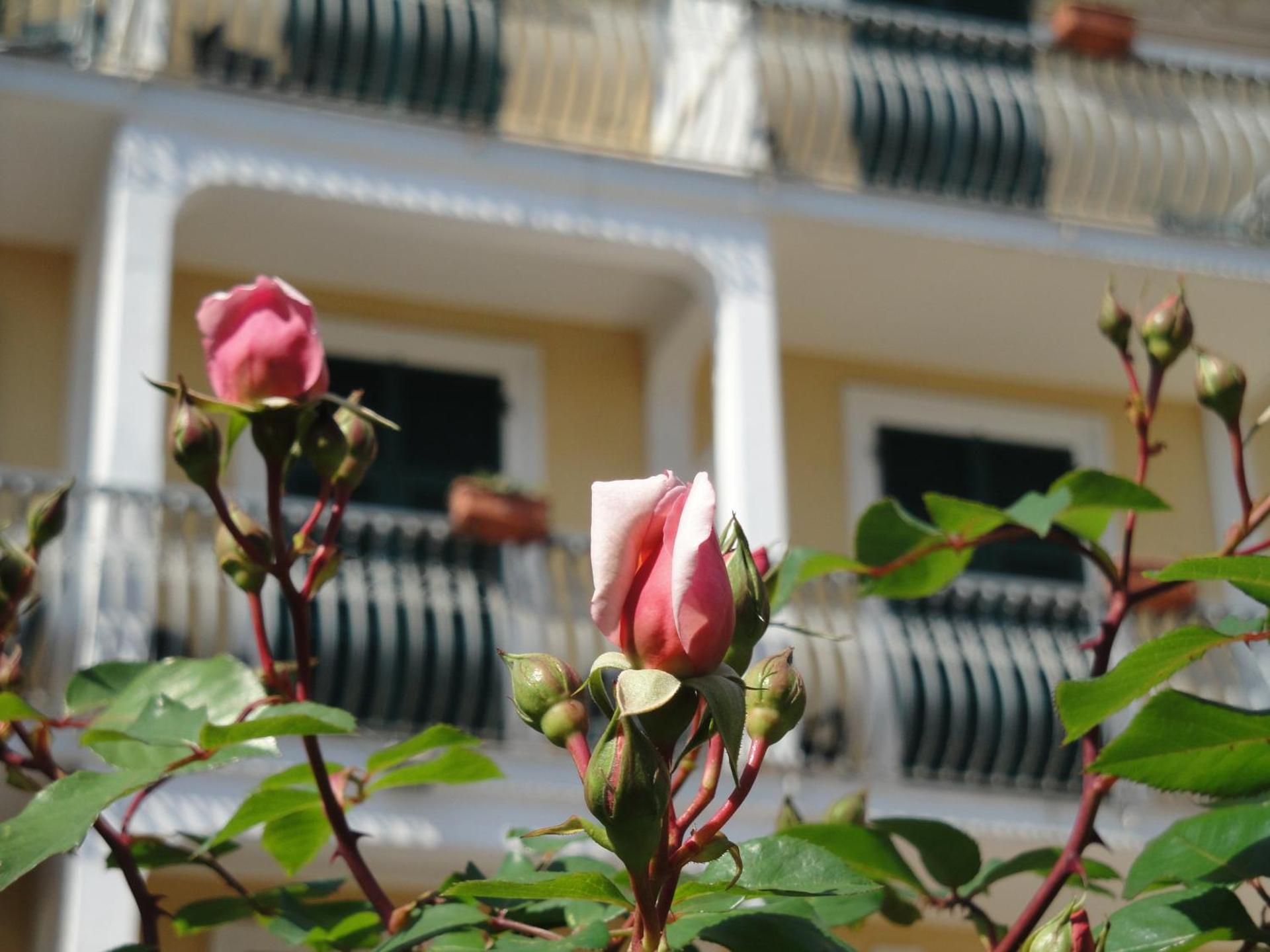 Hotel Miranda - Photo 63