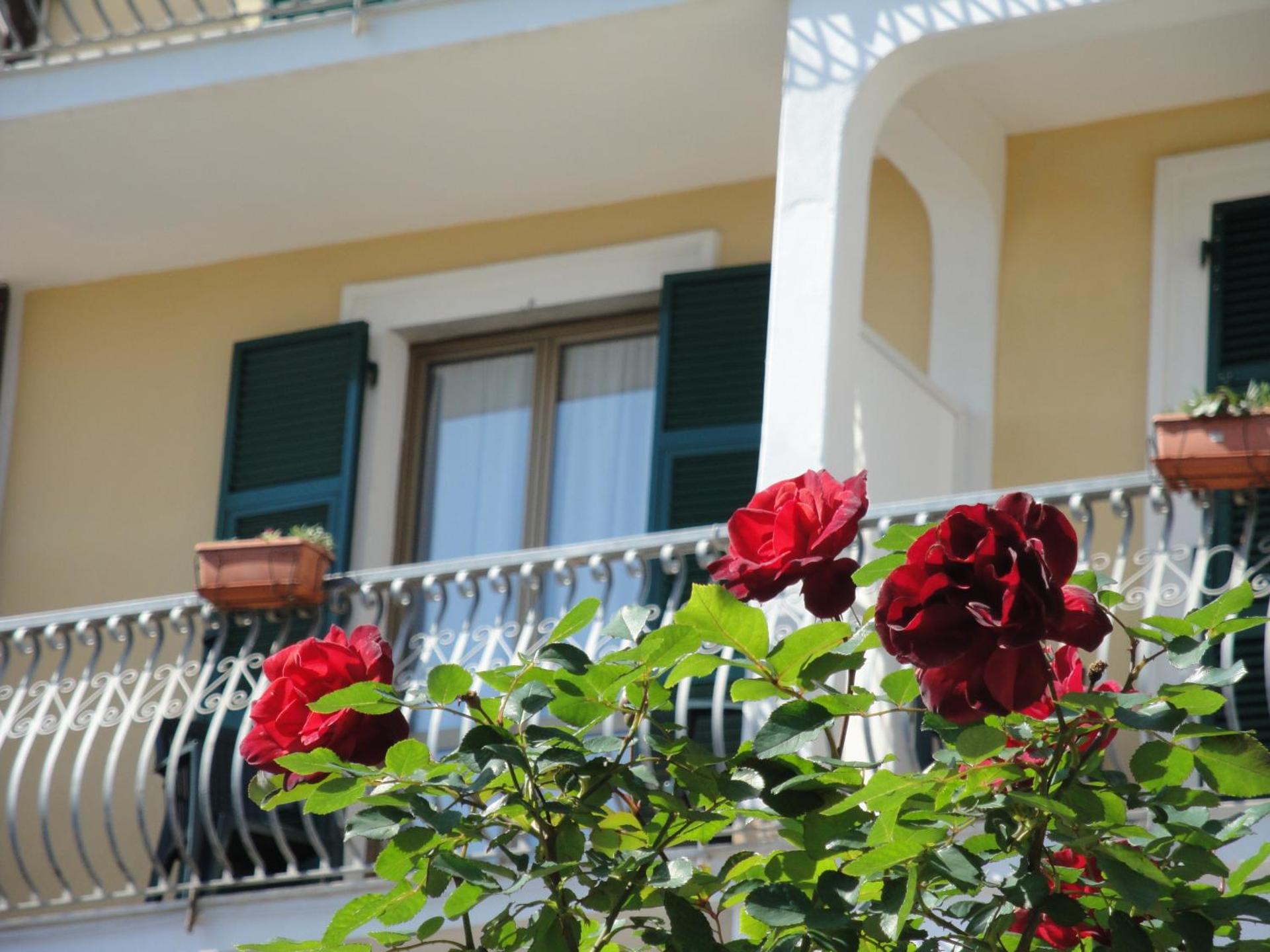 Hotel Miranda - Photo 20