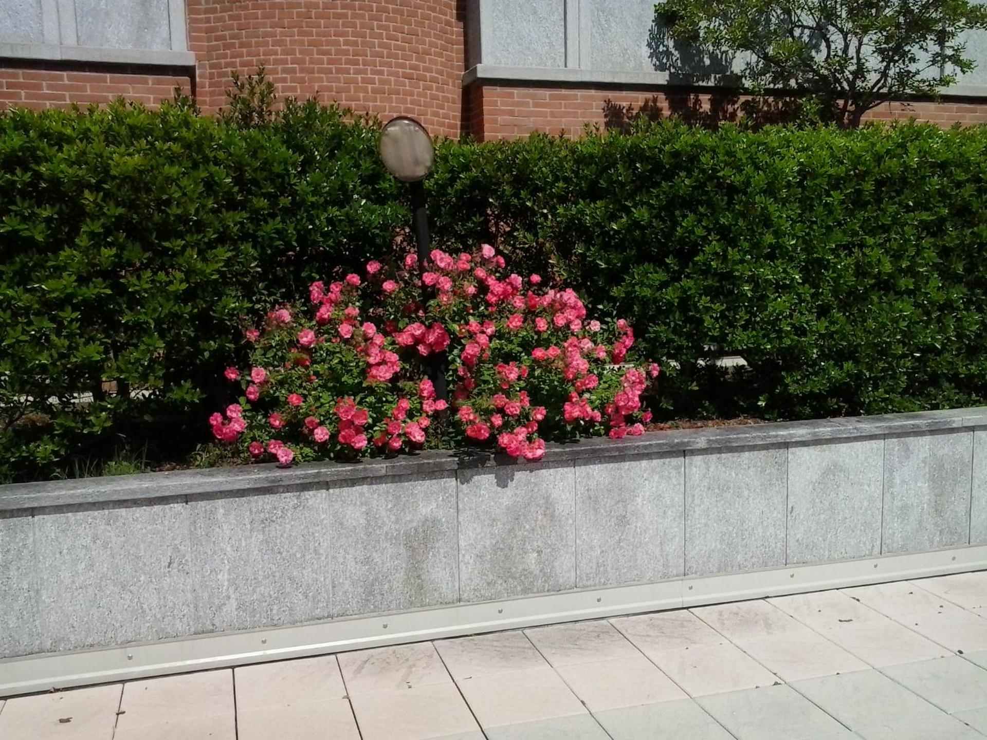 Pacific Hotel Fortino - Photo 90