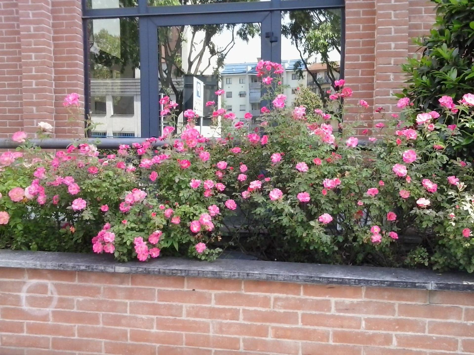 Pacific Hotel Fortino - Photo 91