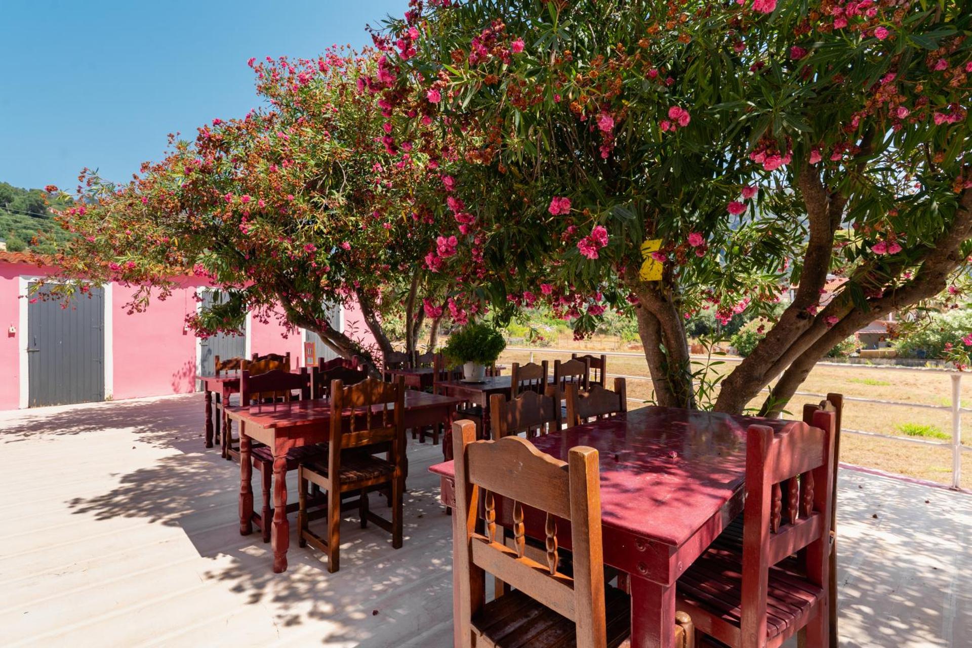 Pink Palace Beach Resort - Photo 36