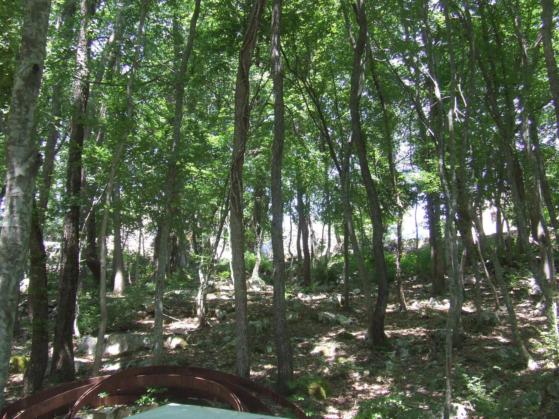 AGRITURISMO Case Catalano - Photo 163