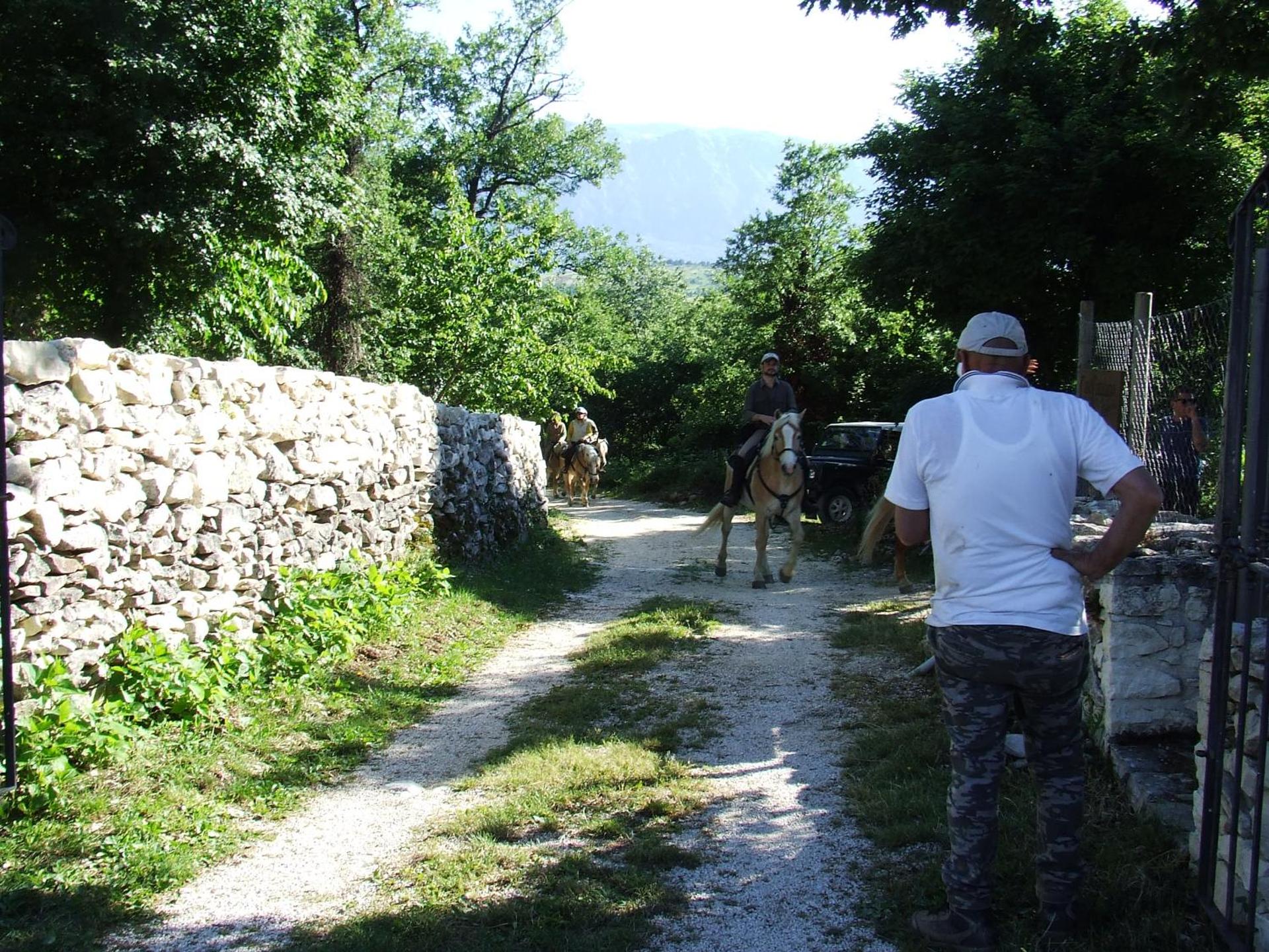 AGRITURISMO Case Catalano - Photo 164