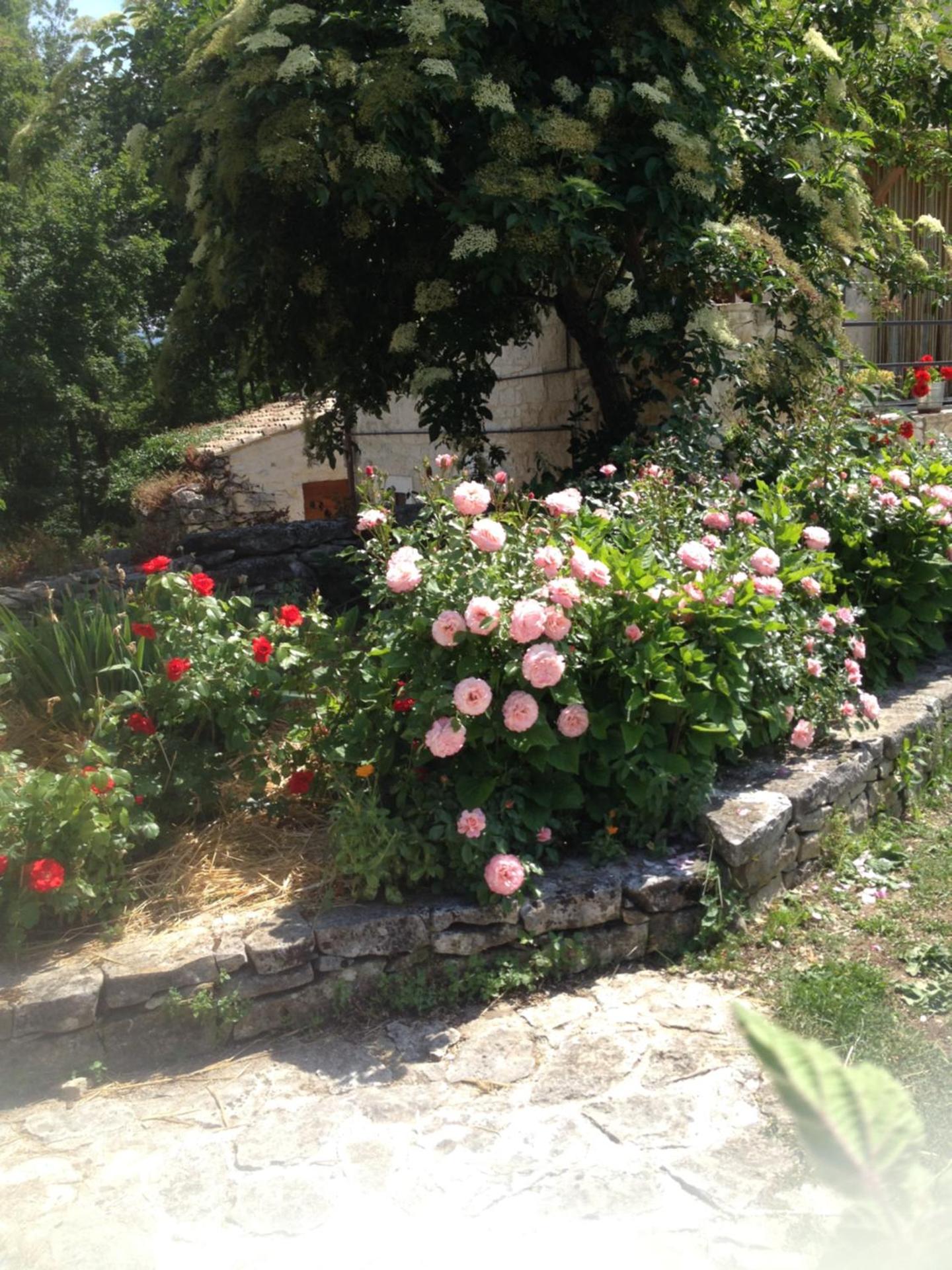 AGRITURISMO Case Catalano - Photo 219