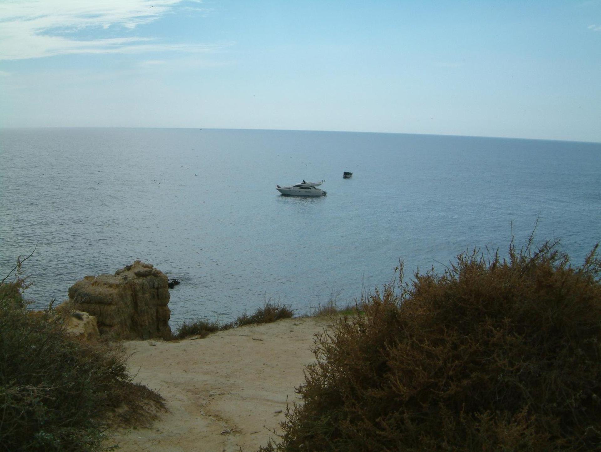 Torre Velha AL - Photo 8