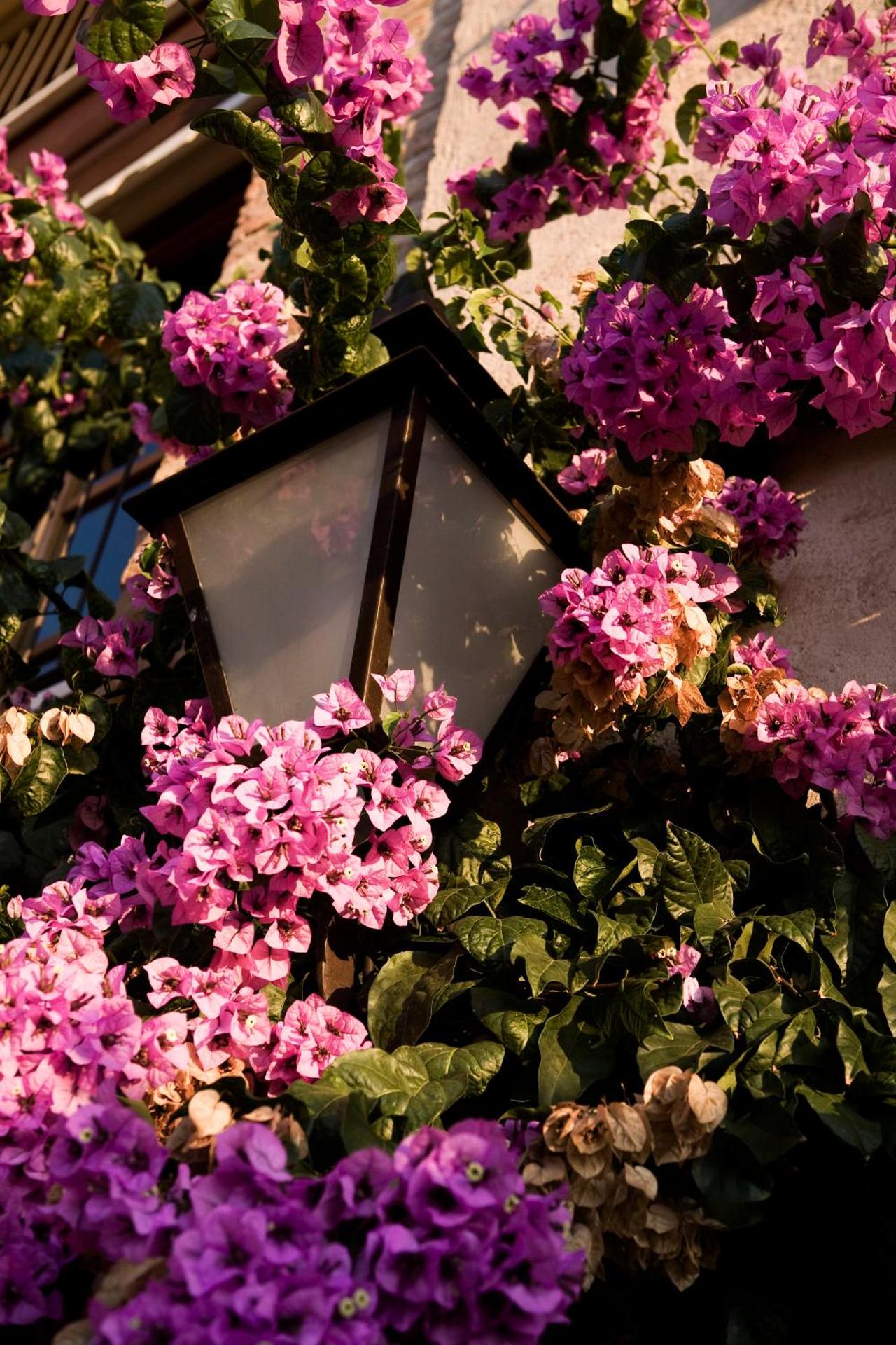 Villa Arcadio - Photo 2