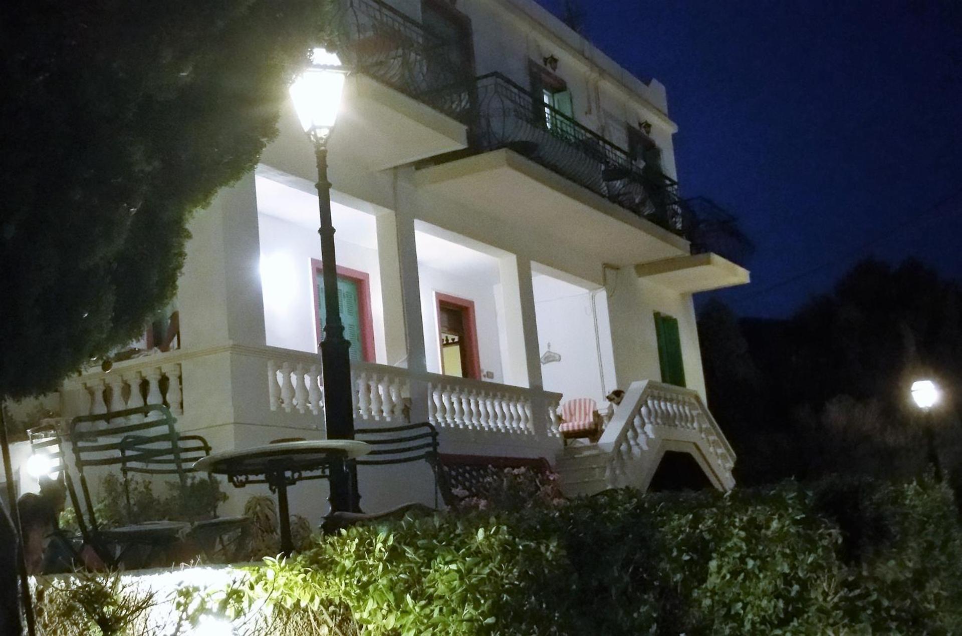 Blue Dolphin - Photo 135