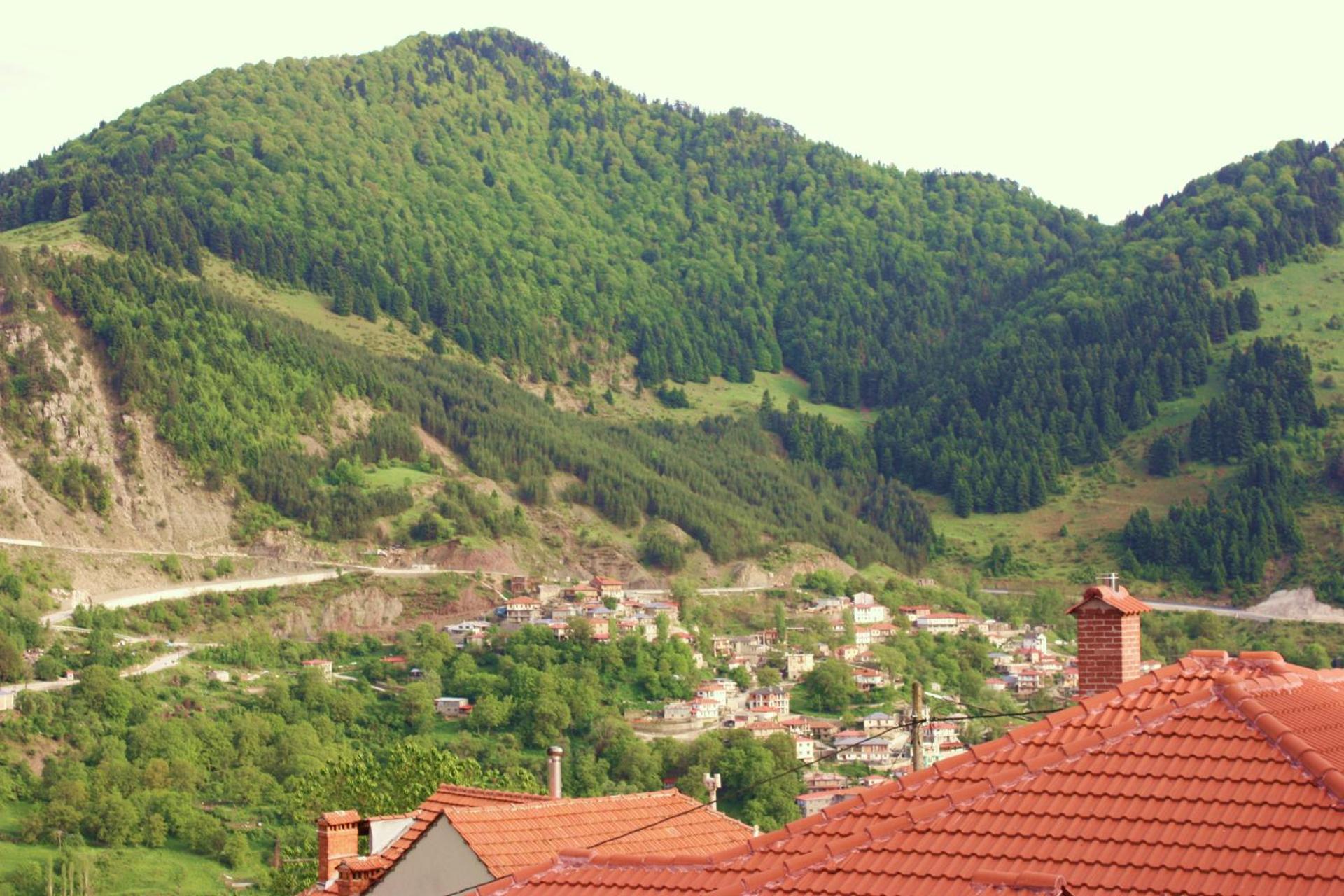 Archontiko Metsovou Luxury Boutique Spa Hotel - Photo 47