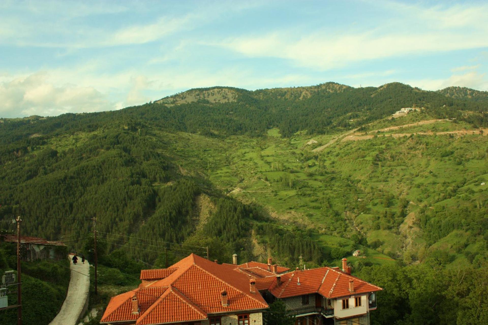 Archontiko Metsovou Luxury Boutique Spa Hotel - Photo 58