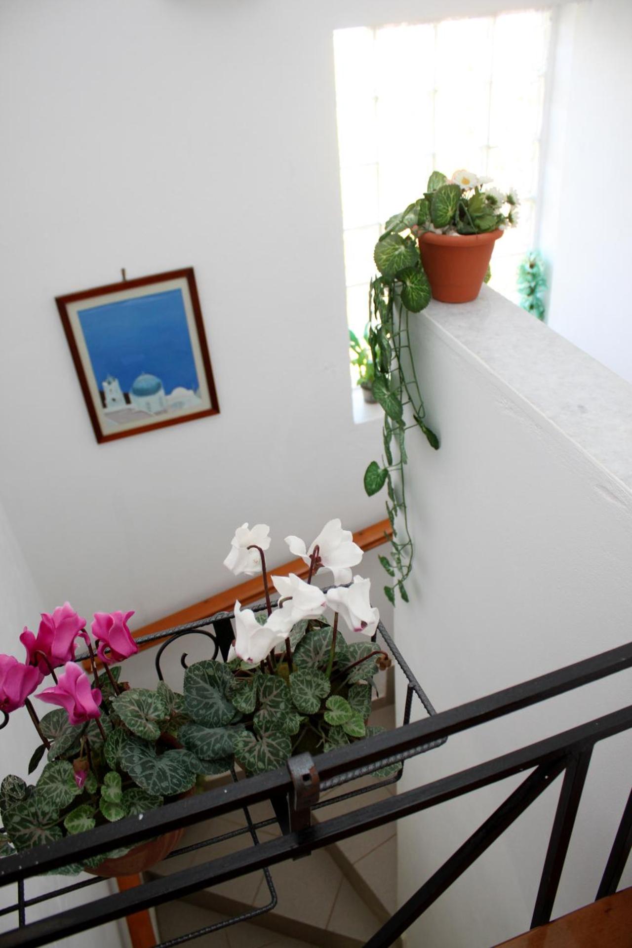 Monambeles Villas - Photo 73