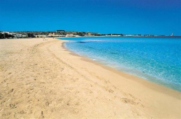 B&B Pacheco - Photo 34