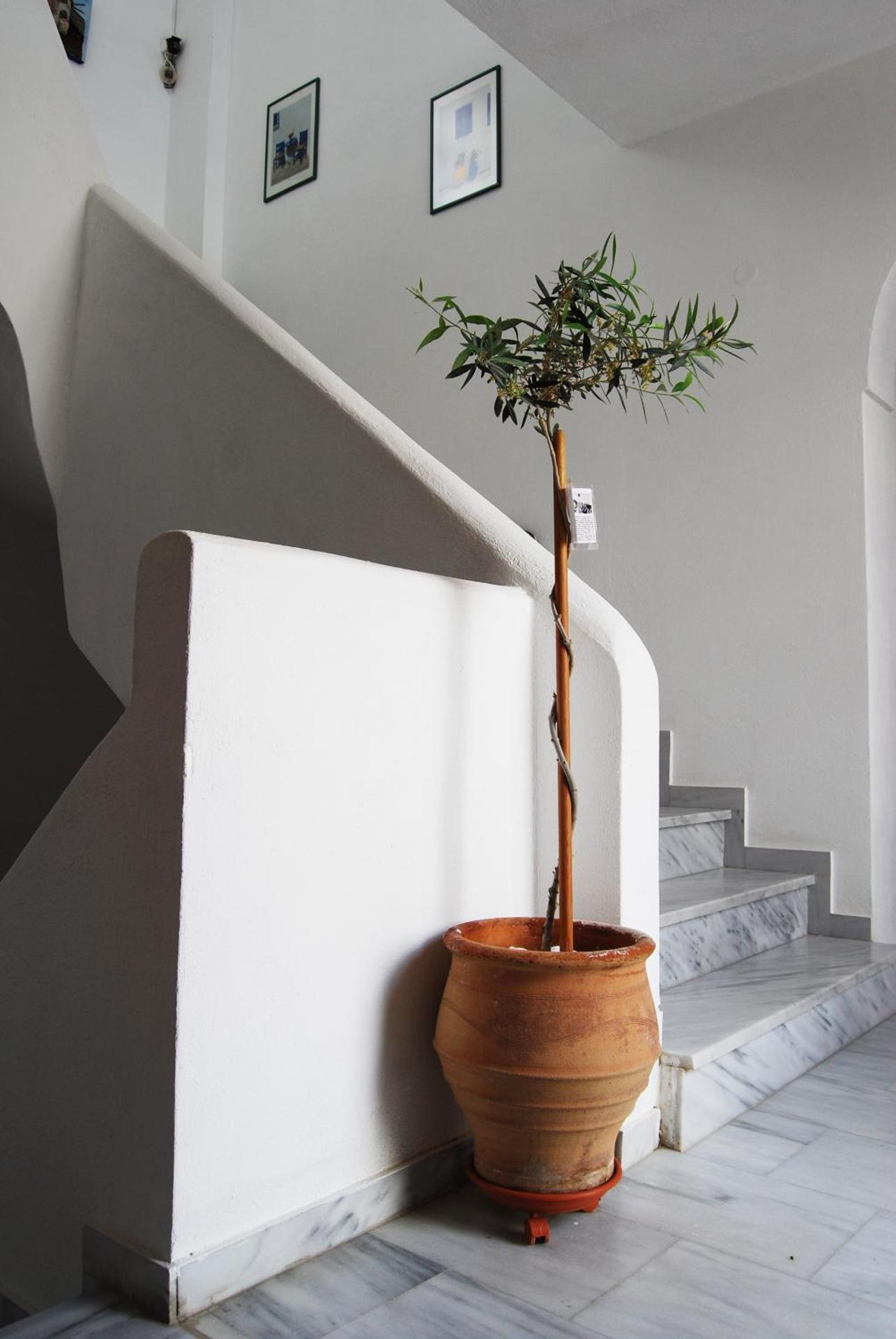 Aretousa Villas - Photo 37