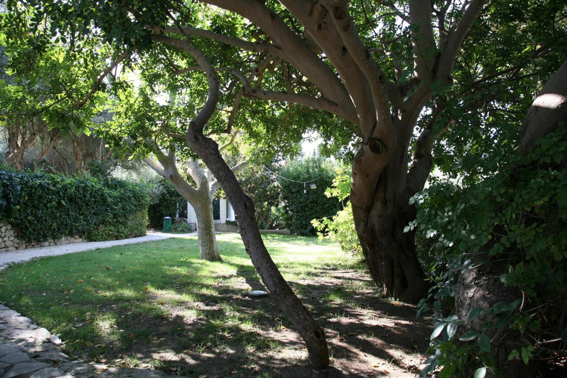 Villa Aurea - Photo 69