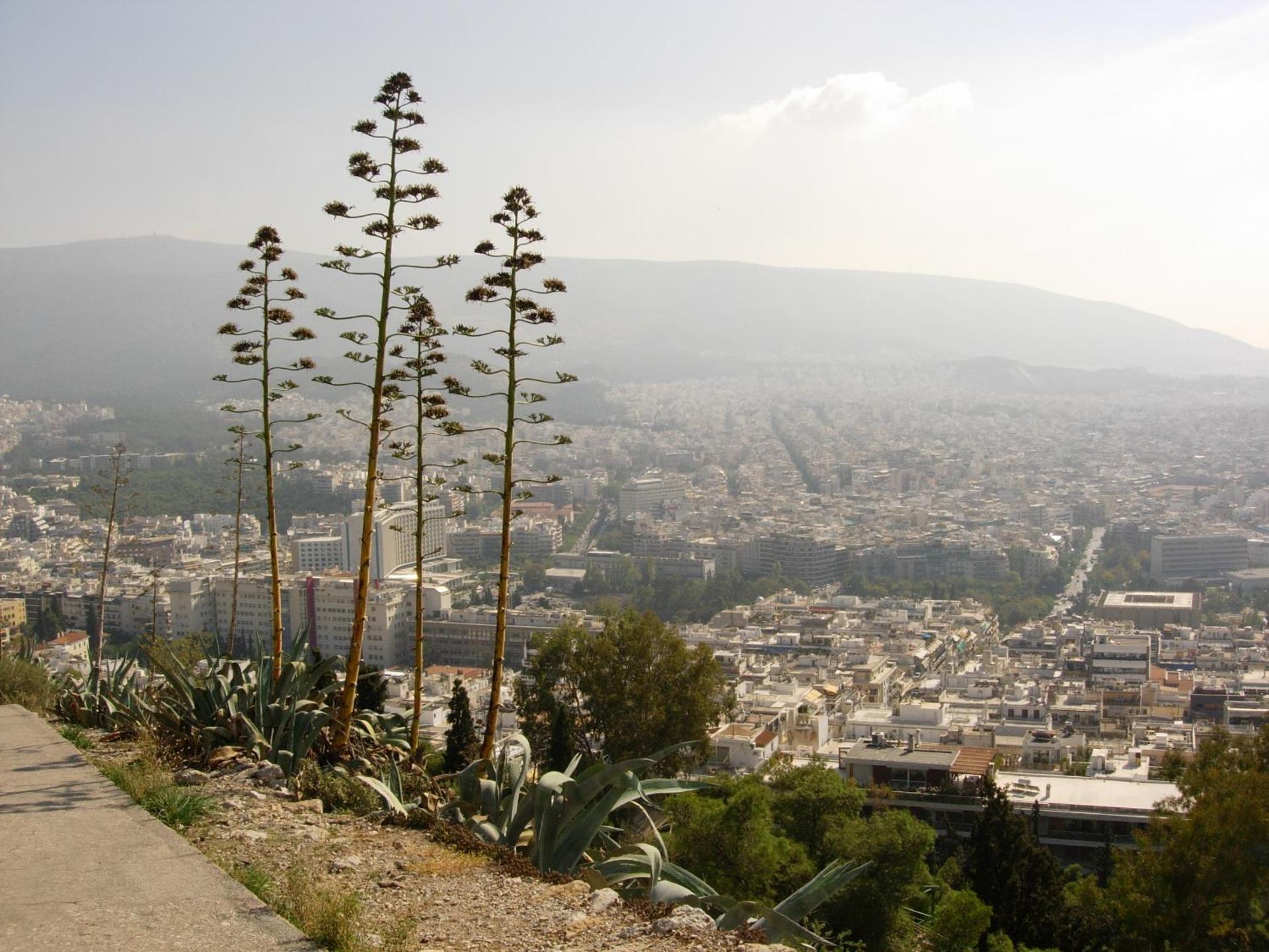 Hidesign Athens Luxury Apartments in Kolonaki - Photo 21