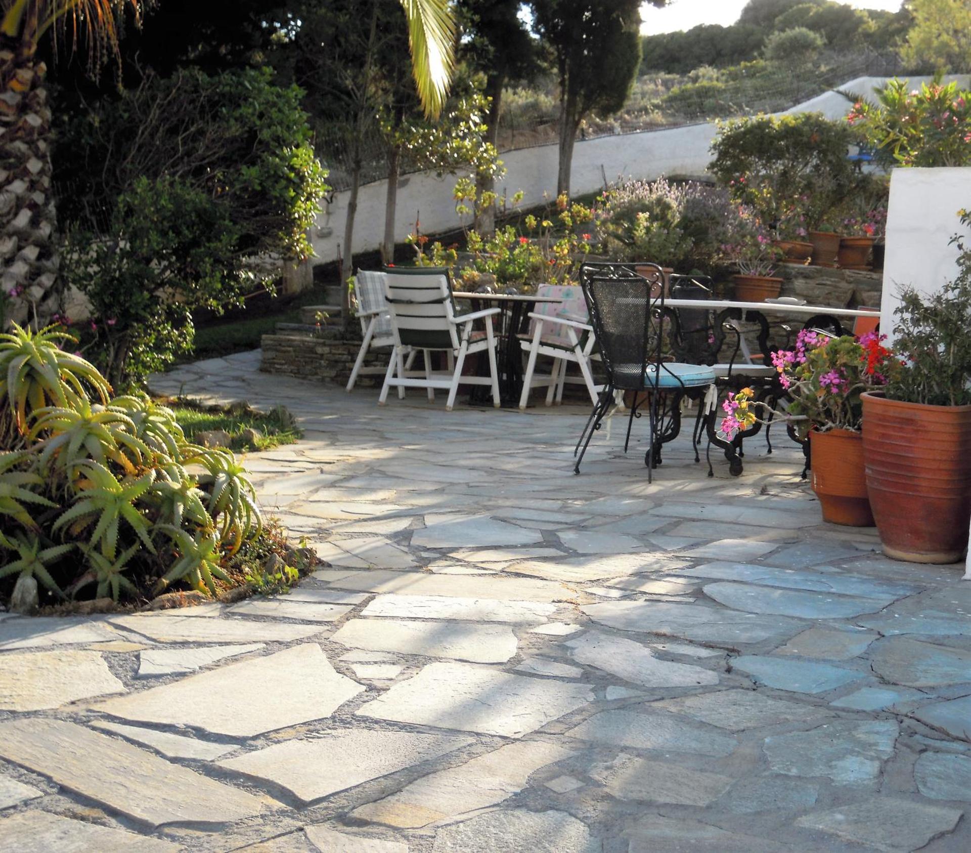 Blue Dolphin - Photo 197