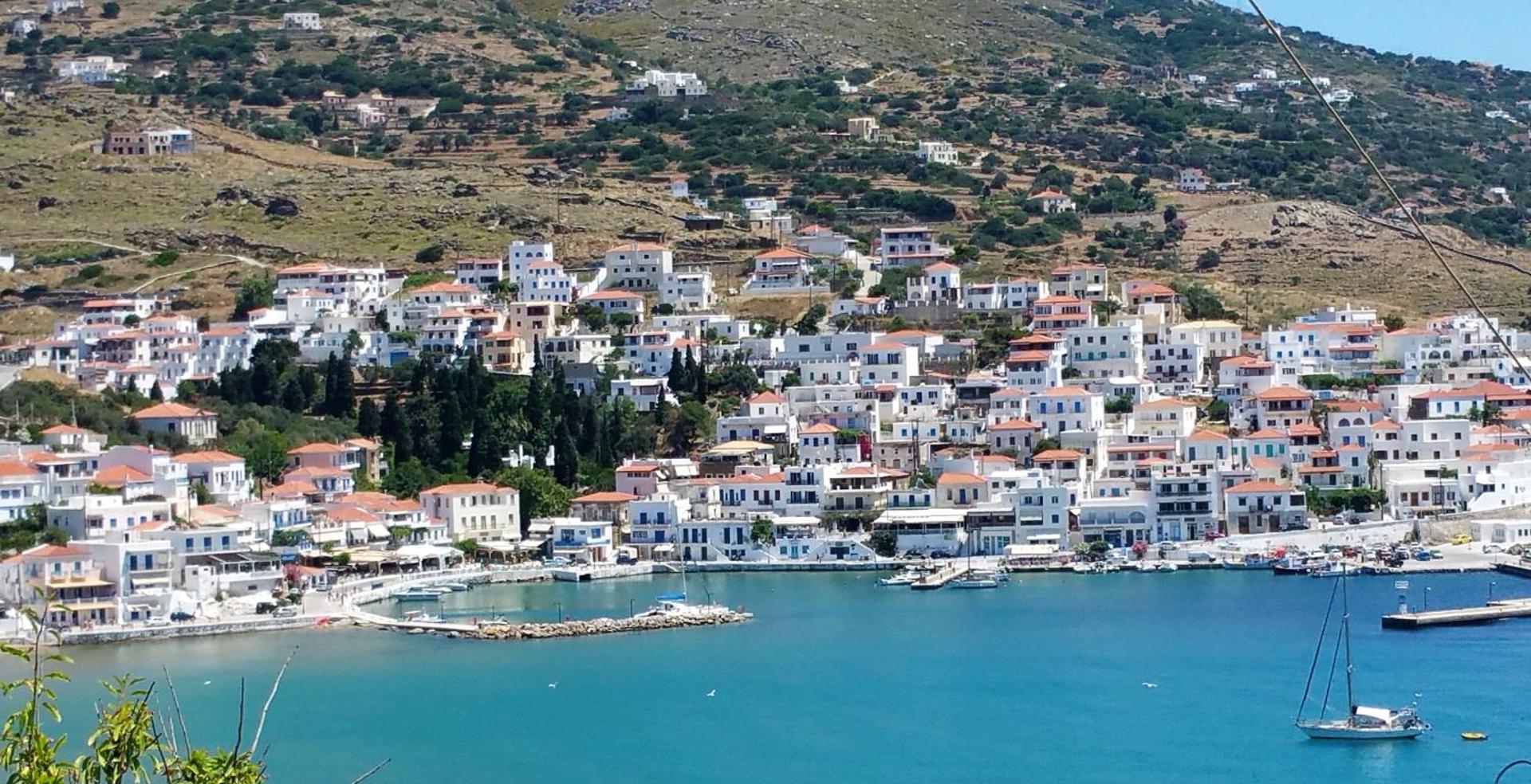 Blue Dolphin - Photo 198