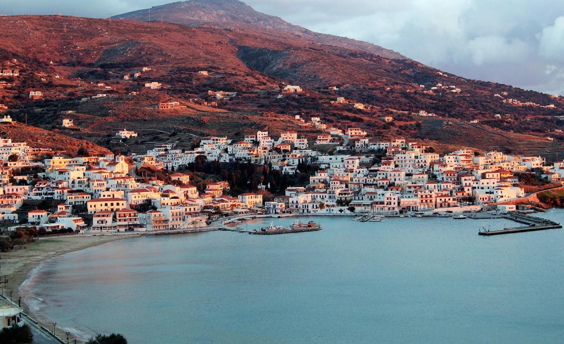 Blue Dolphin - Photo 208