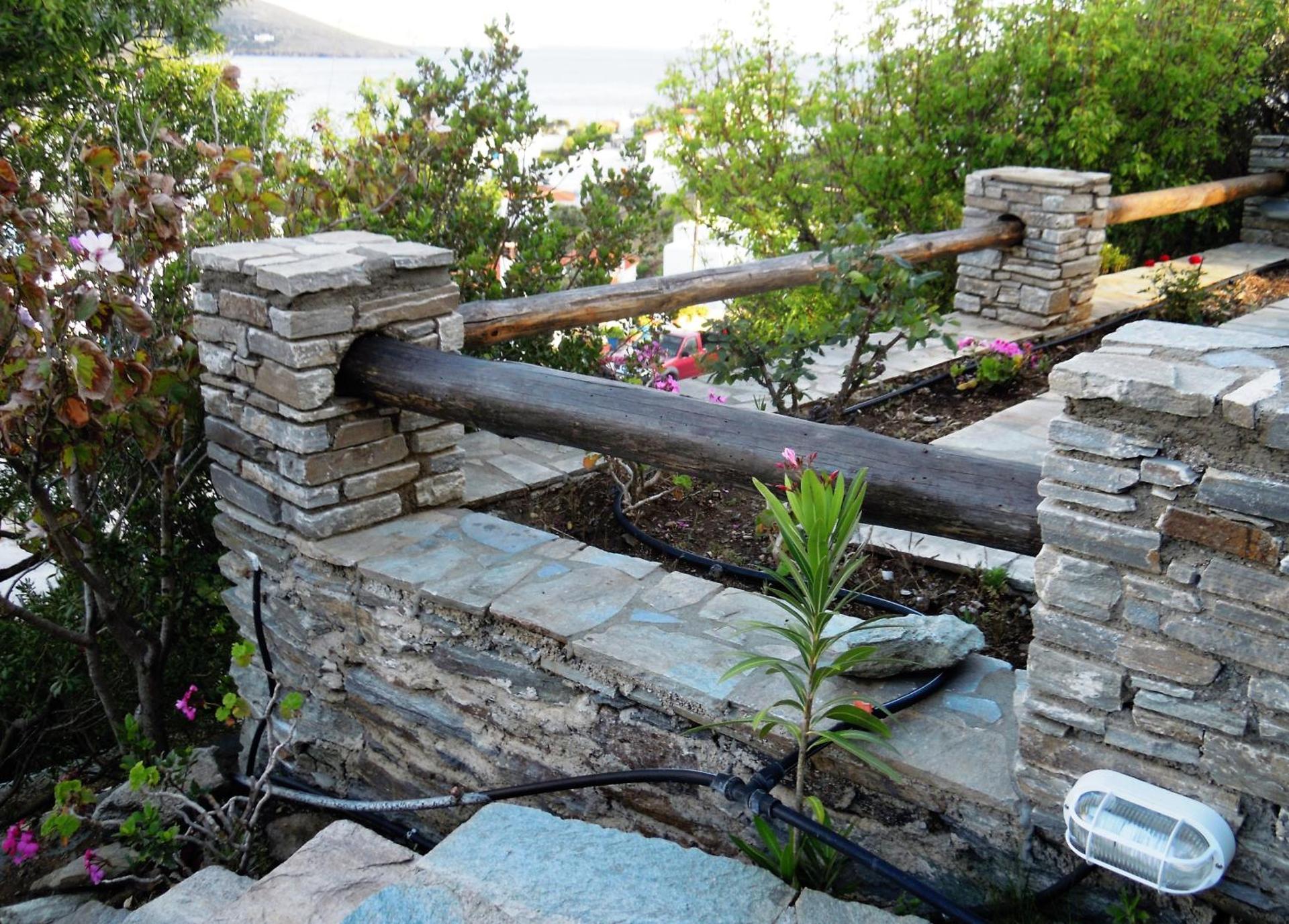 Blue Dolphin - Photo 183