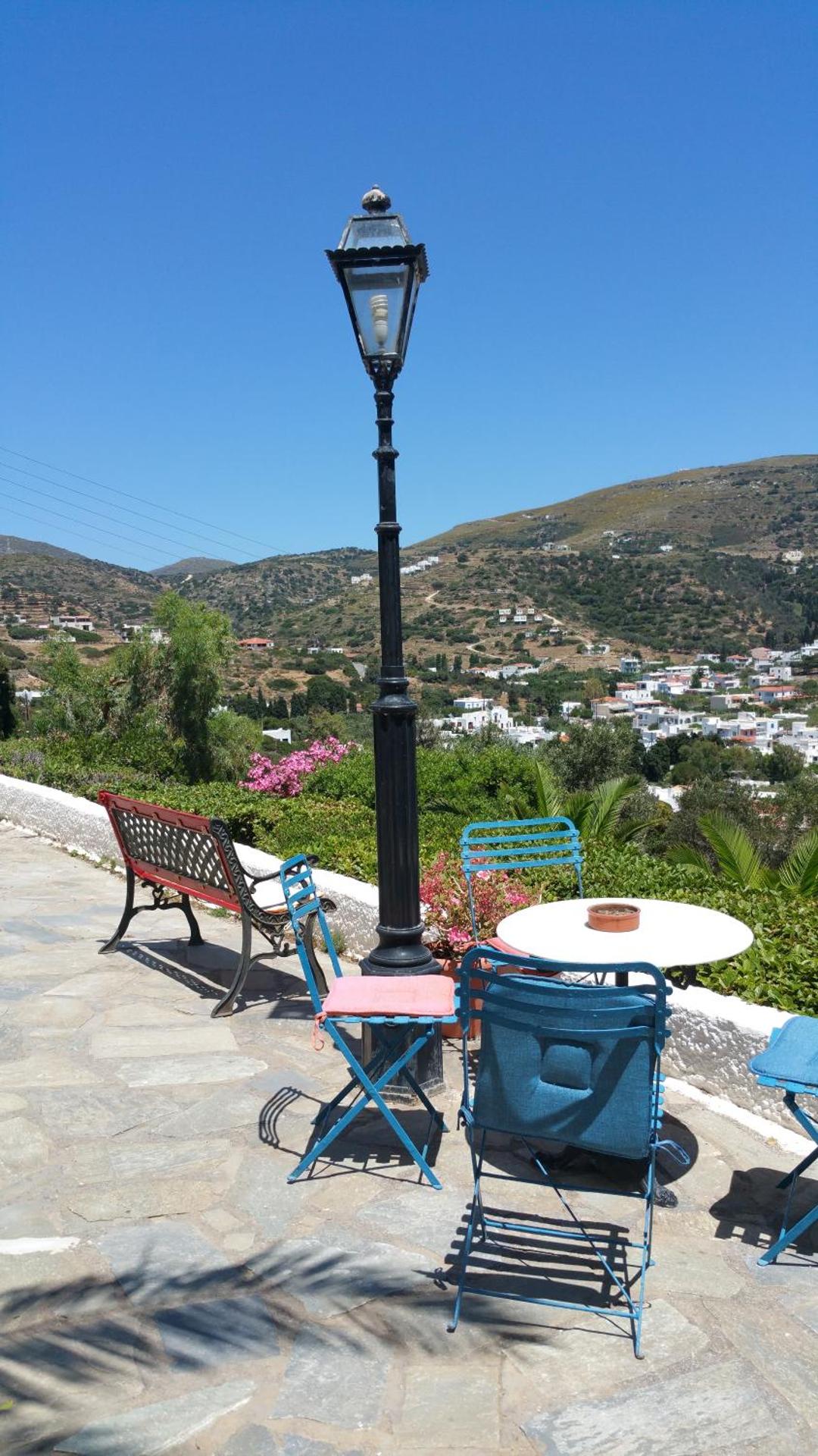 Blue Dolphin - Photo 199