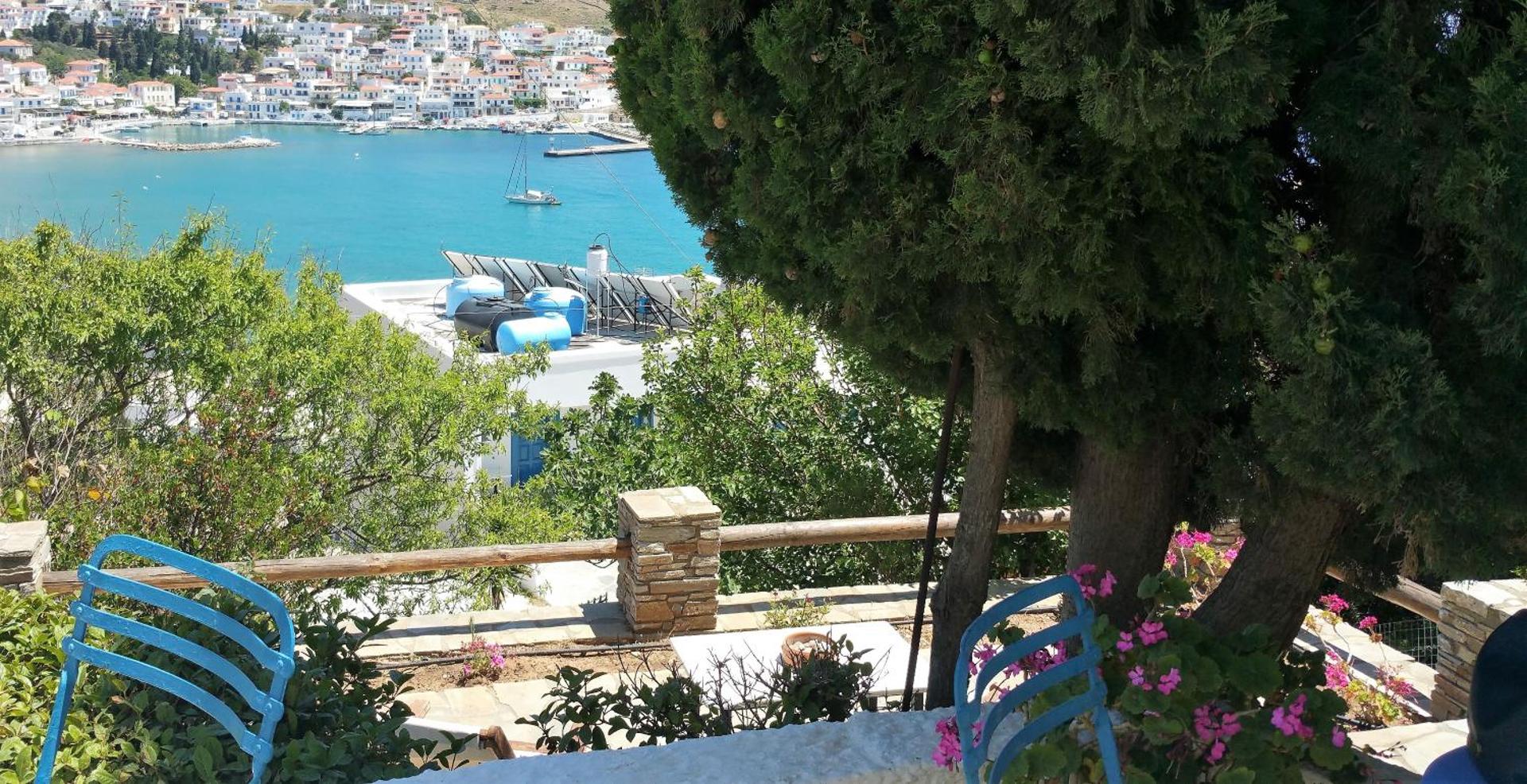 Blue Dolphin - Photo 185