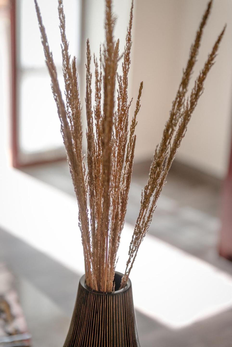 Hotel La Morada - Photo 66