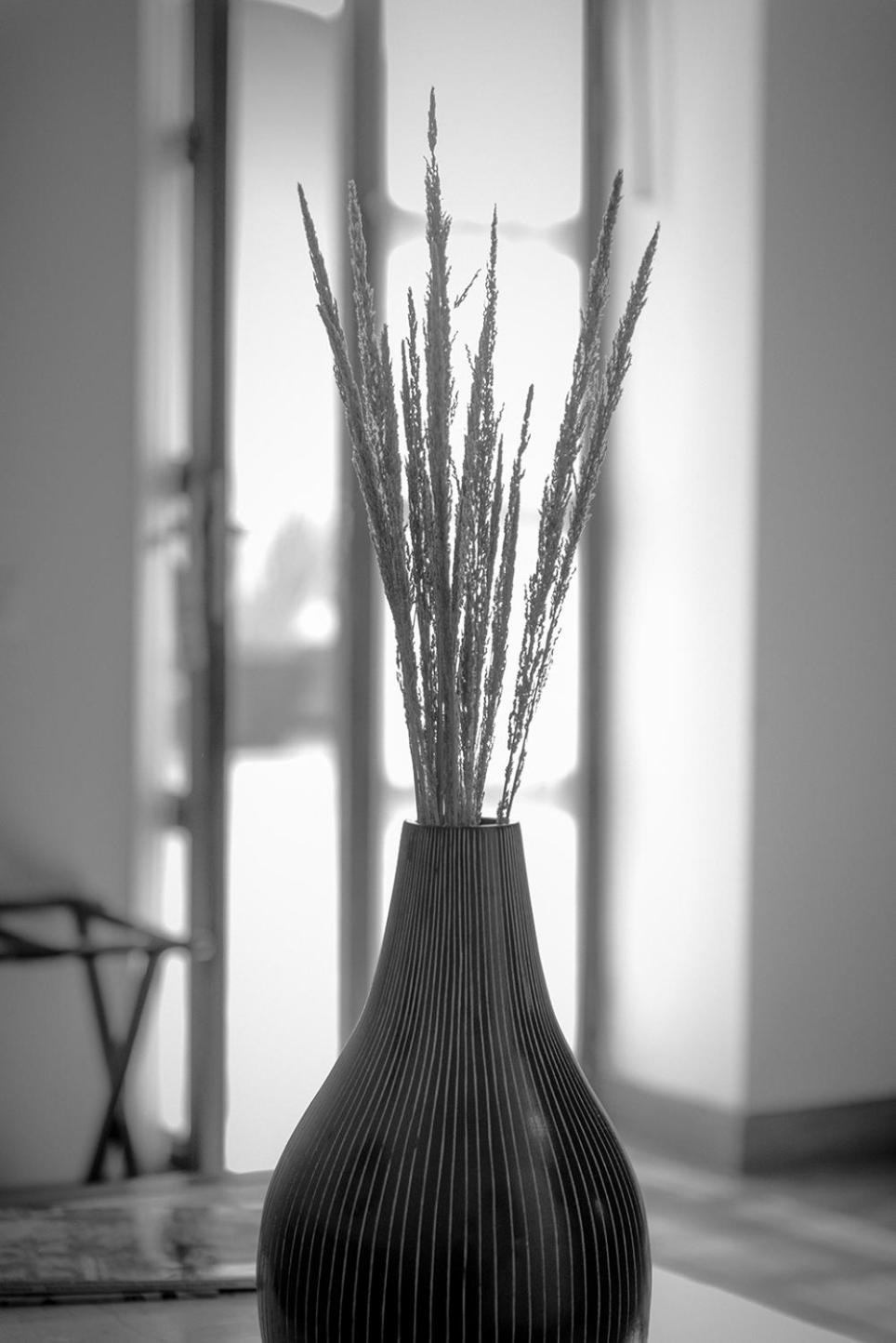 Hotel La Morada - Photo 65