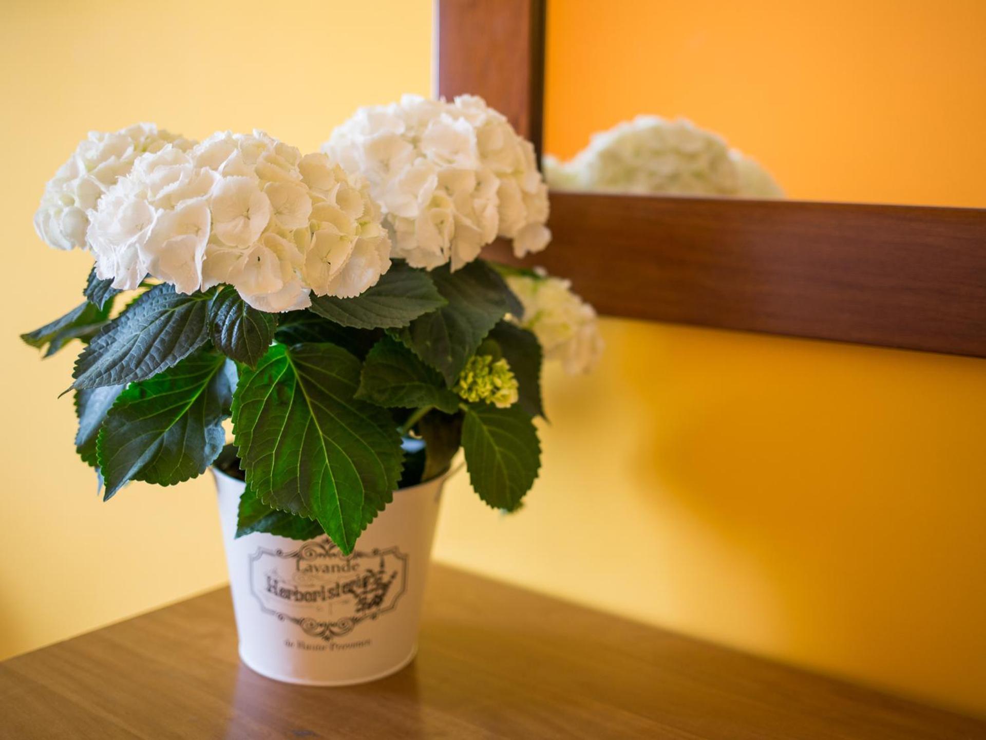 B&B Matida - Photo 13