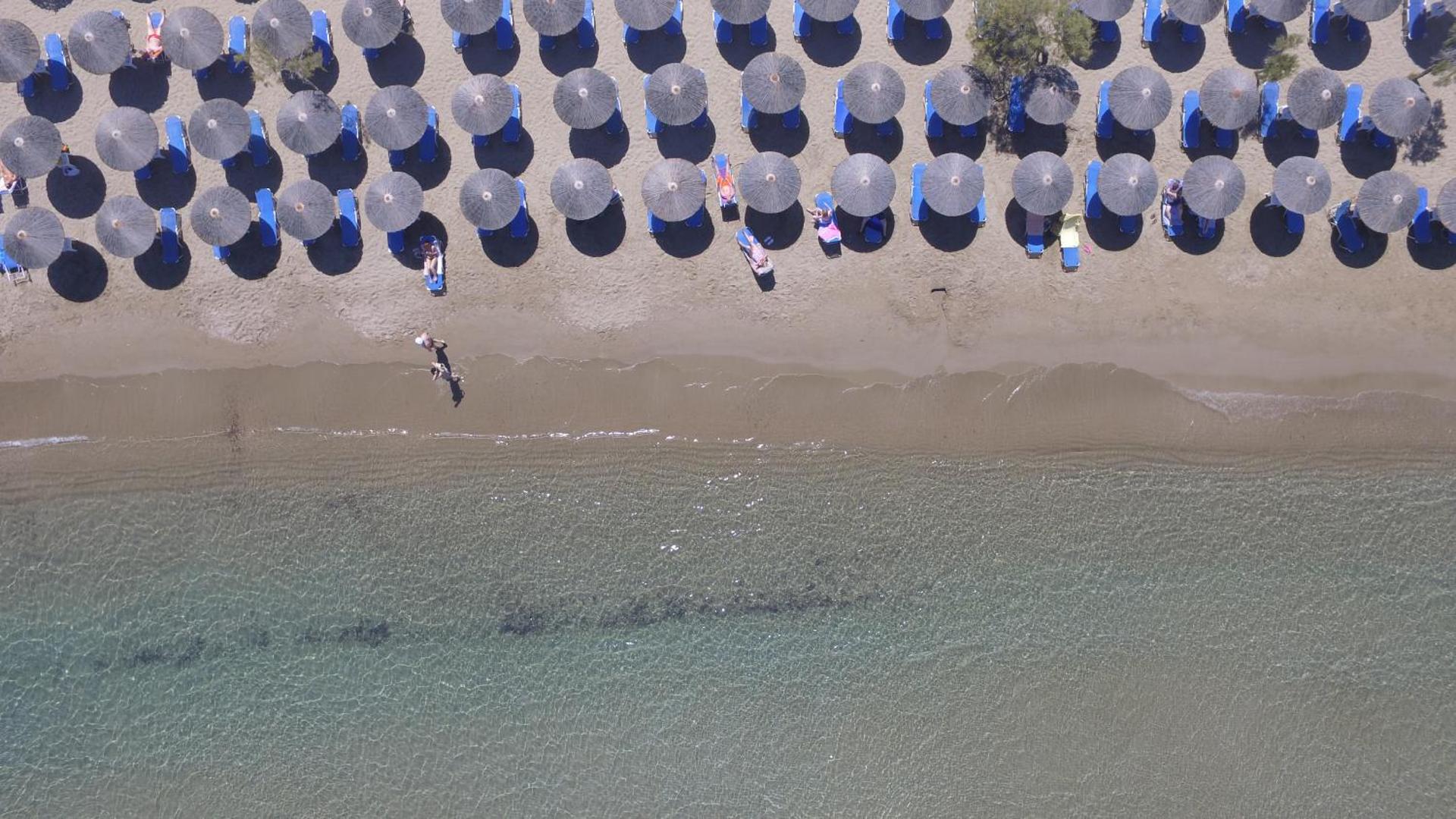 Dolphin Bay Seaside Resort & Suites - Photo 8