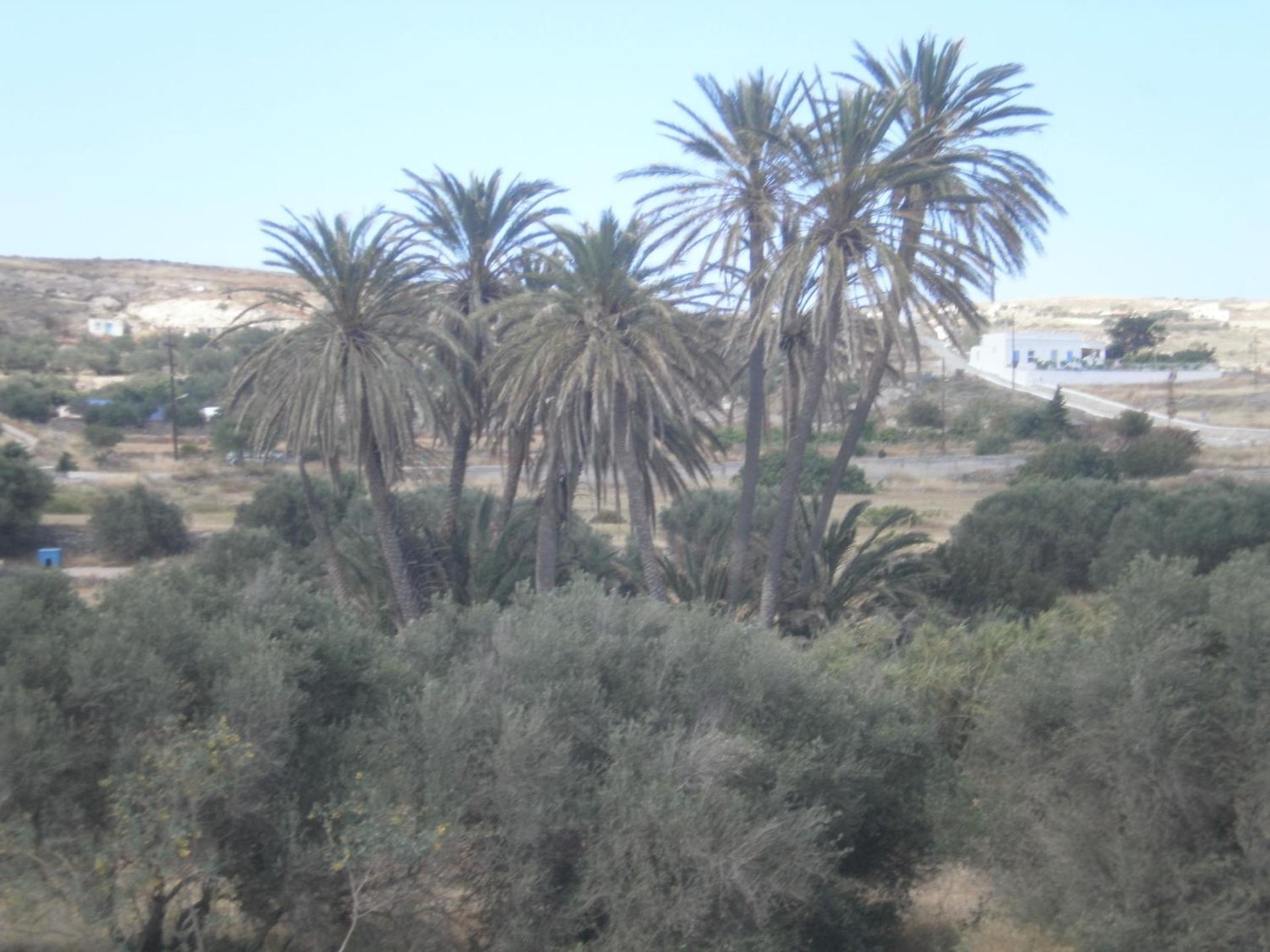 Hotel Delfini - Photo 6