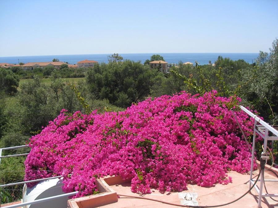 Paradise Studios - Photo 132