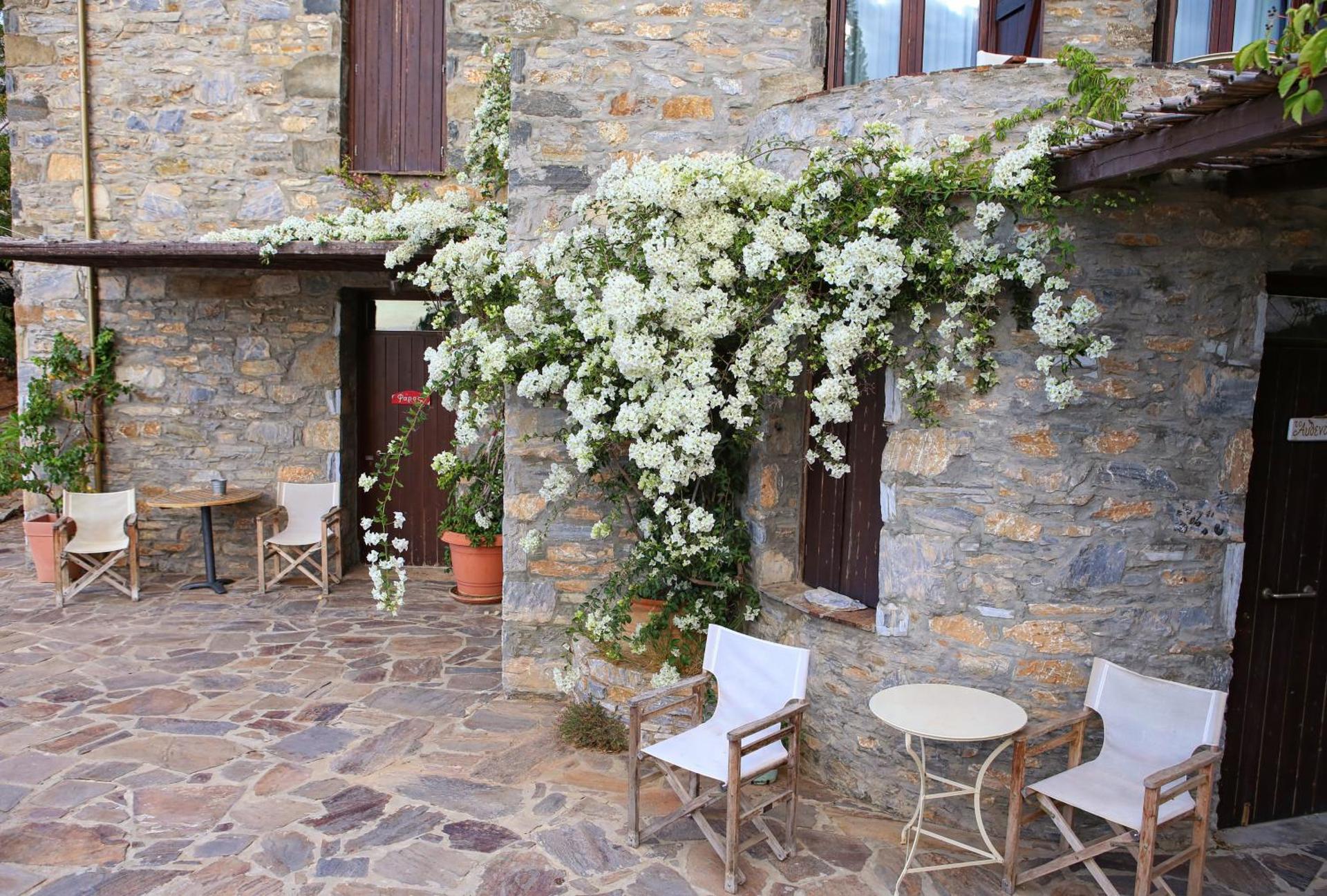 Pyrgos Traditional Village - Photo 44