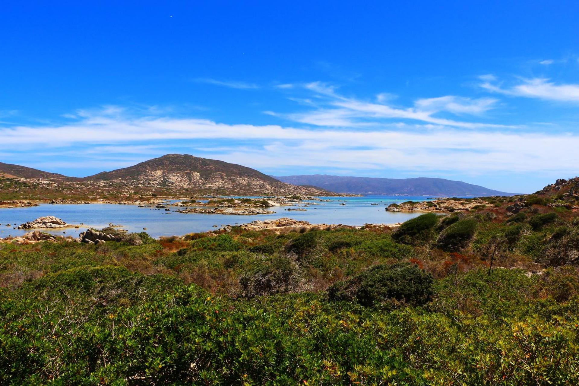 Il Melo Residence - Photo 91