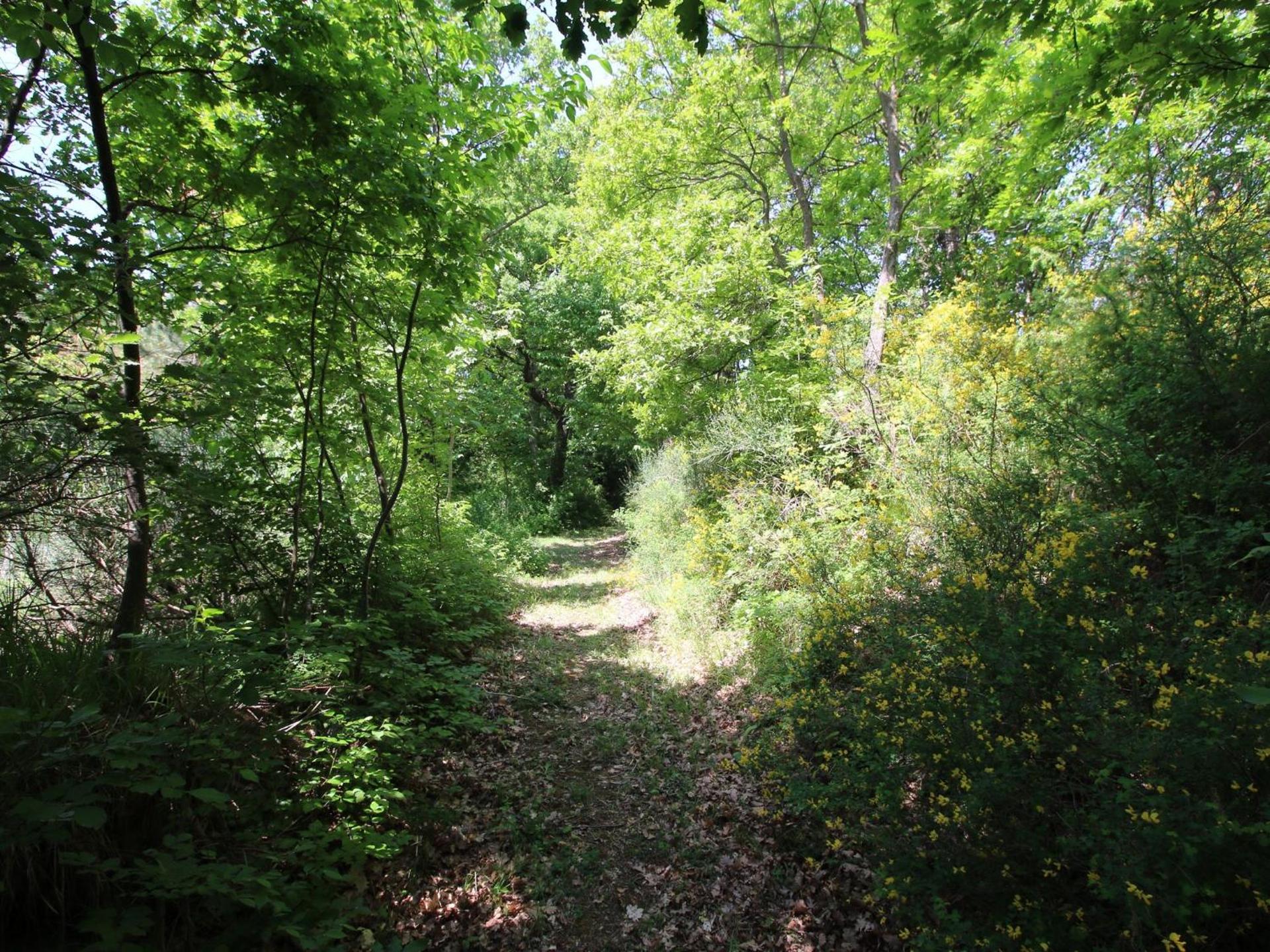 Cottage in Marche near Ski Slopes - Photo 12