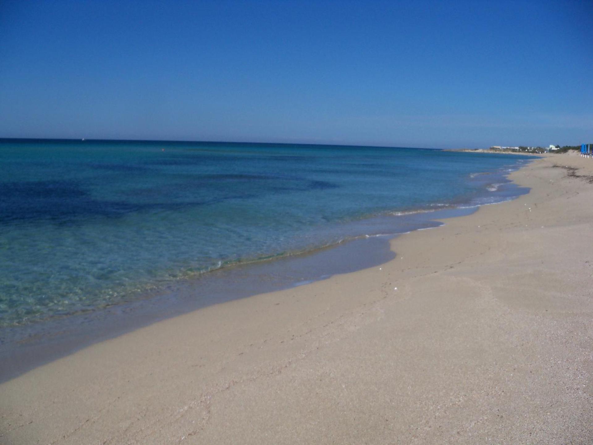 Agriturismo Il Pavone - Photo 75