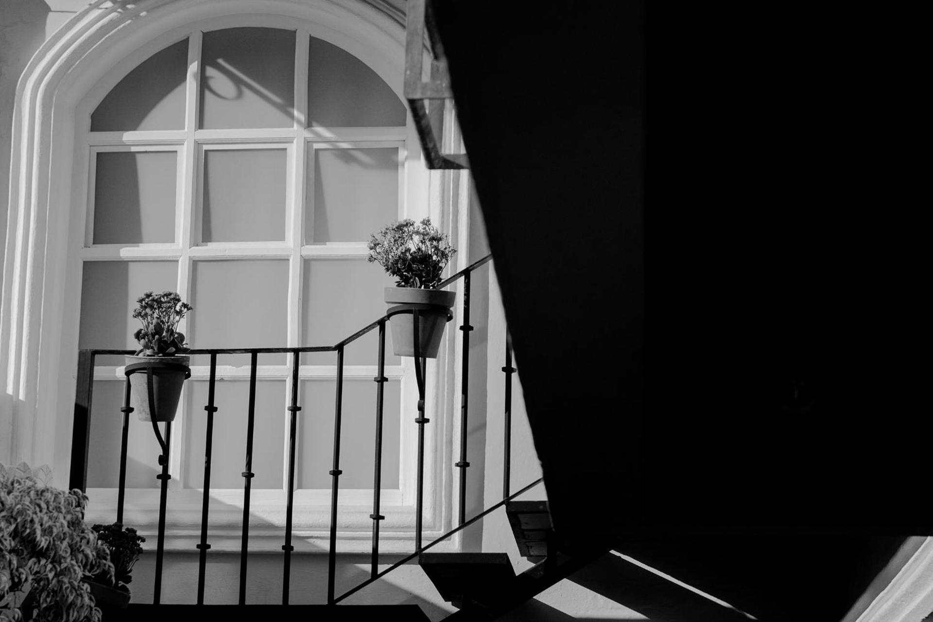 Hotel La Morada - Photo 147