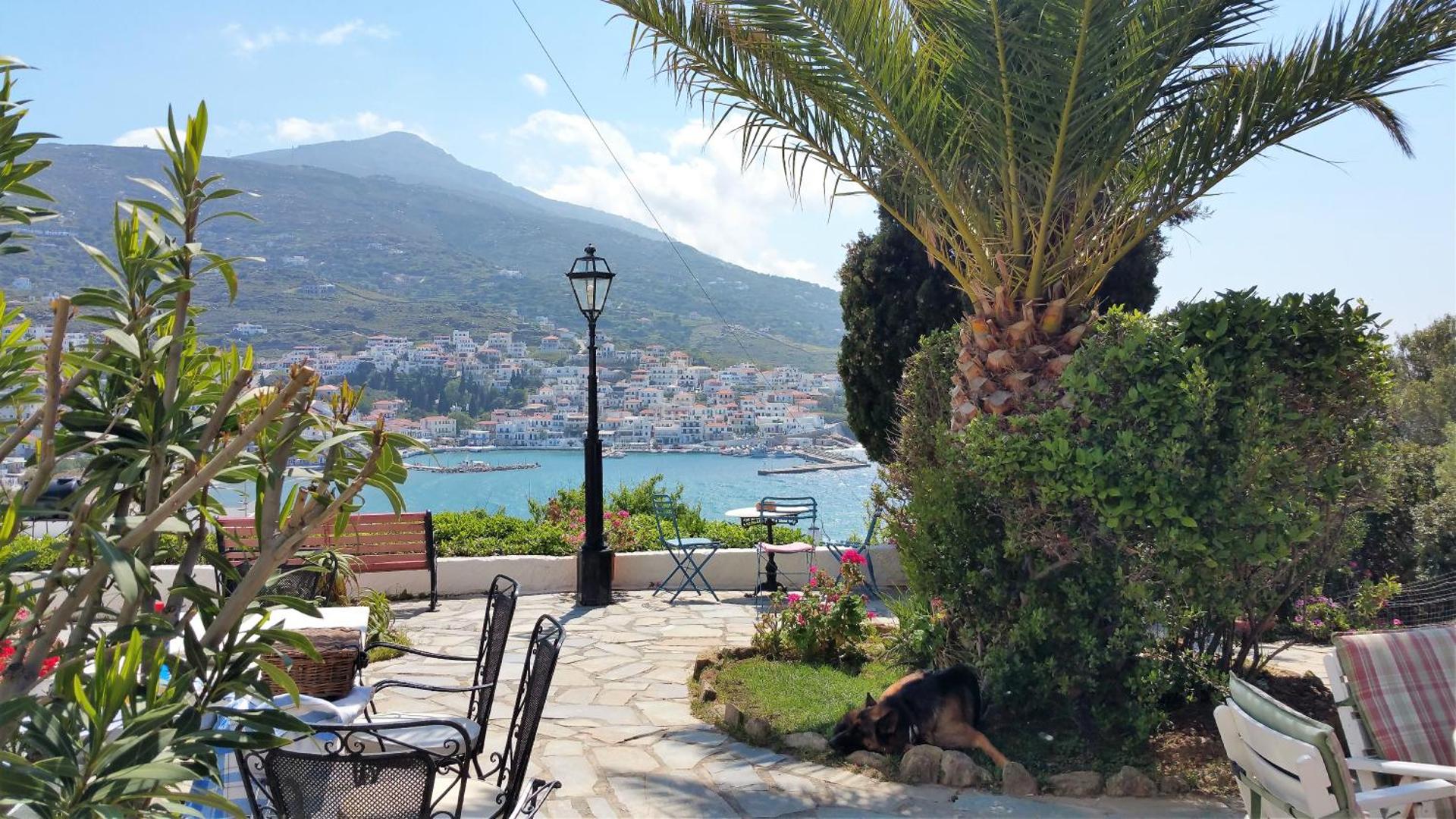 Blue Dolphin - Photo 189