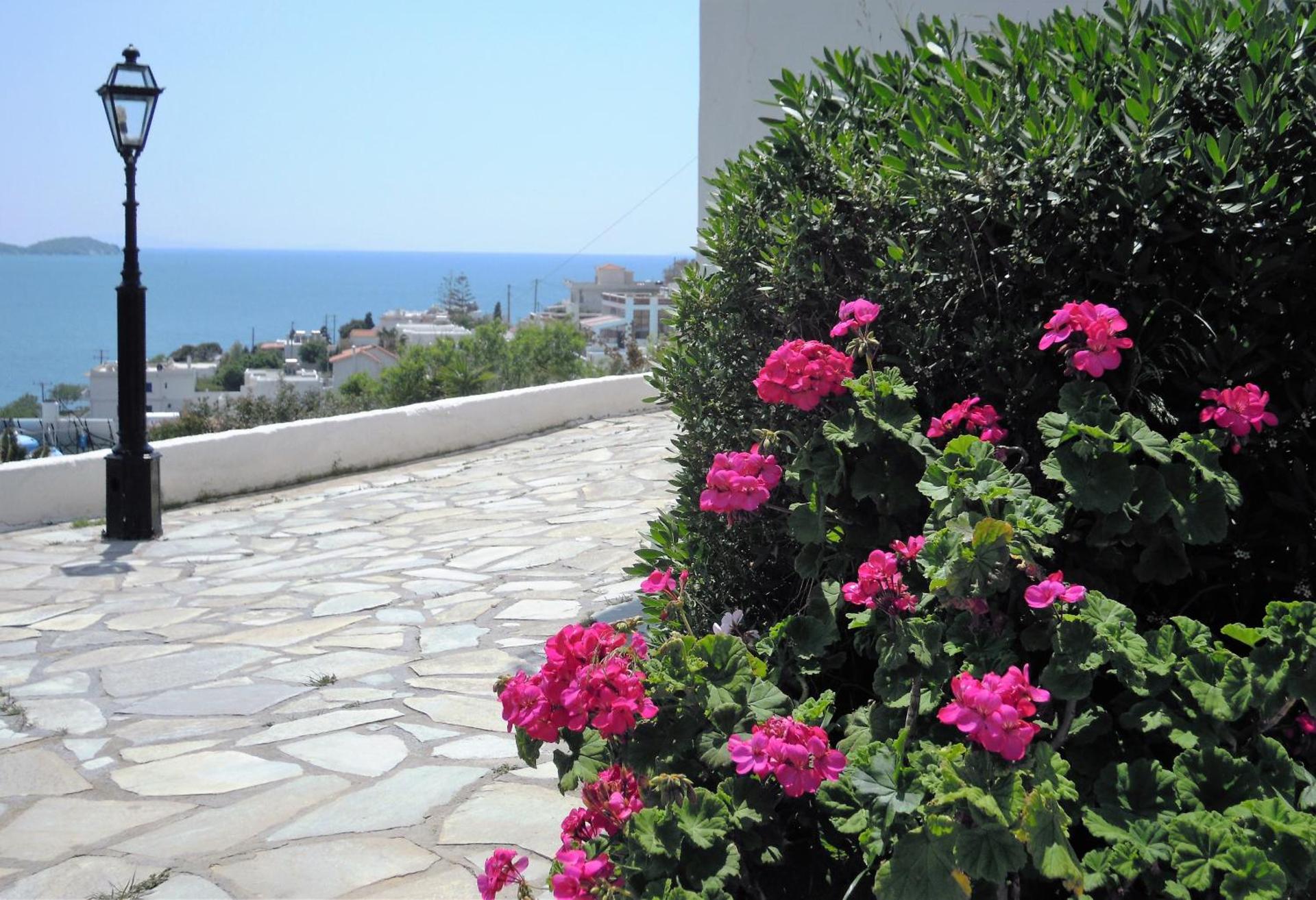 Blue Dolphin - Photo 207