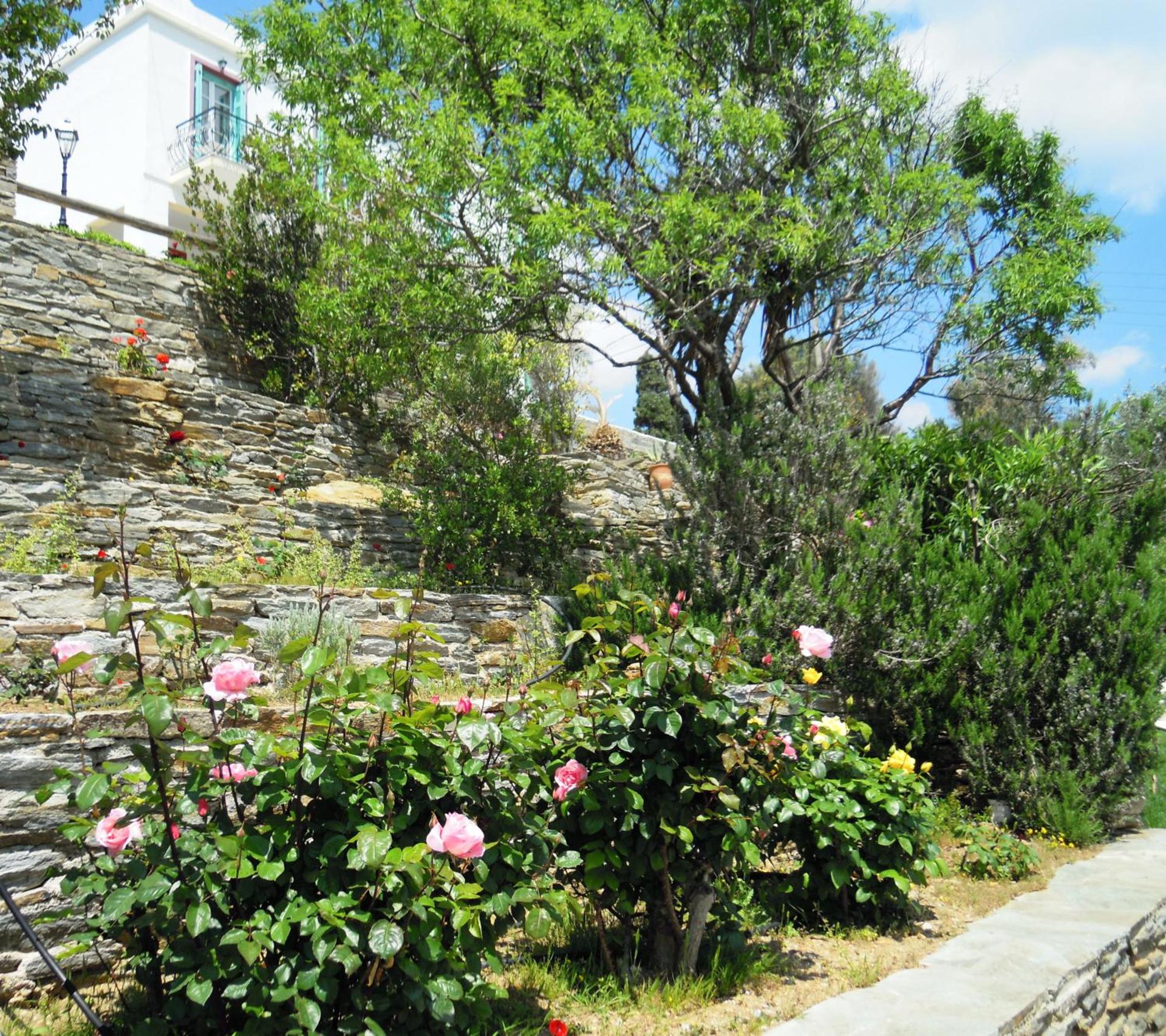 Blue Dolphin - Photo 209