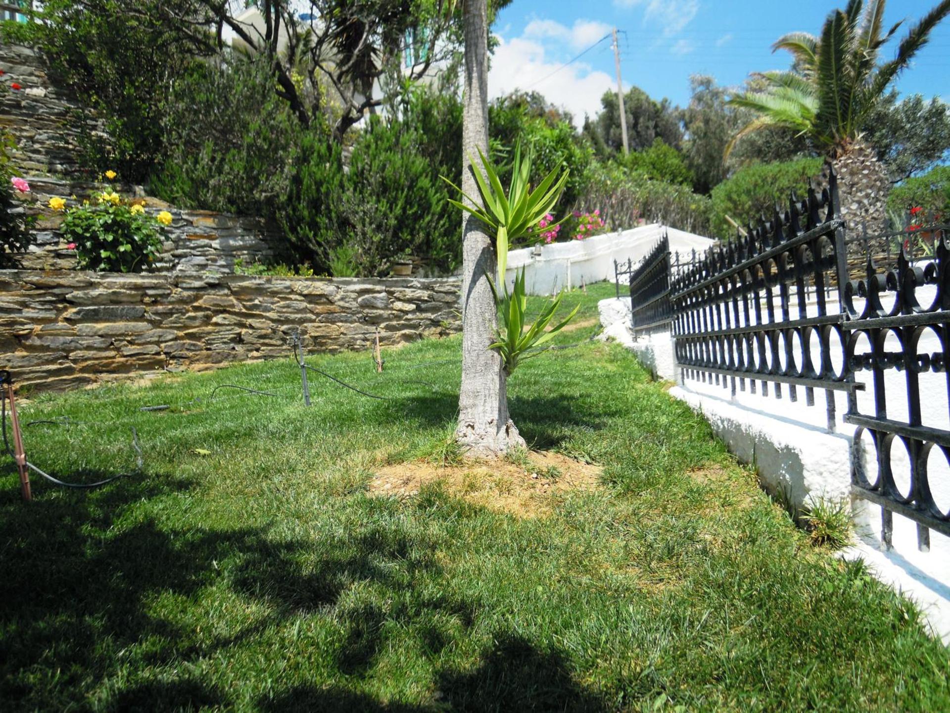 Blue Dolphin - Photo 203