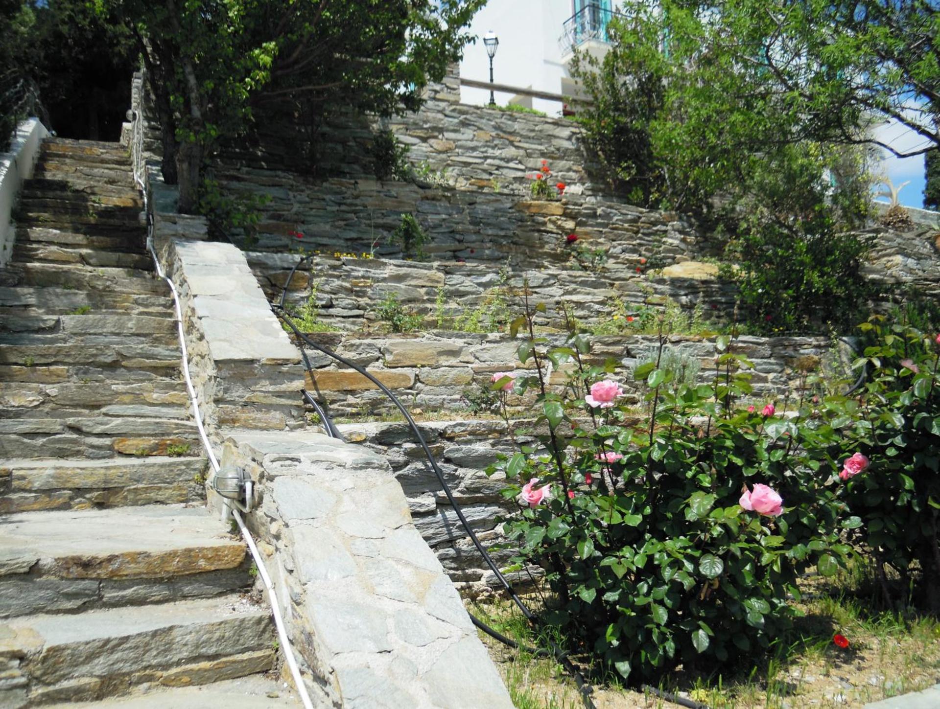 Blue Dolphin - Photo 204