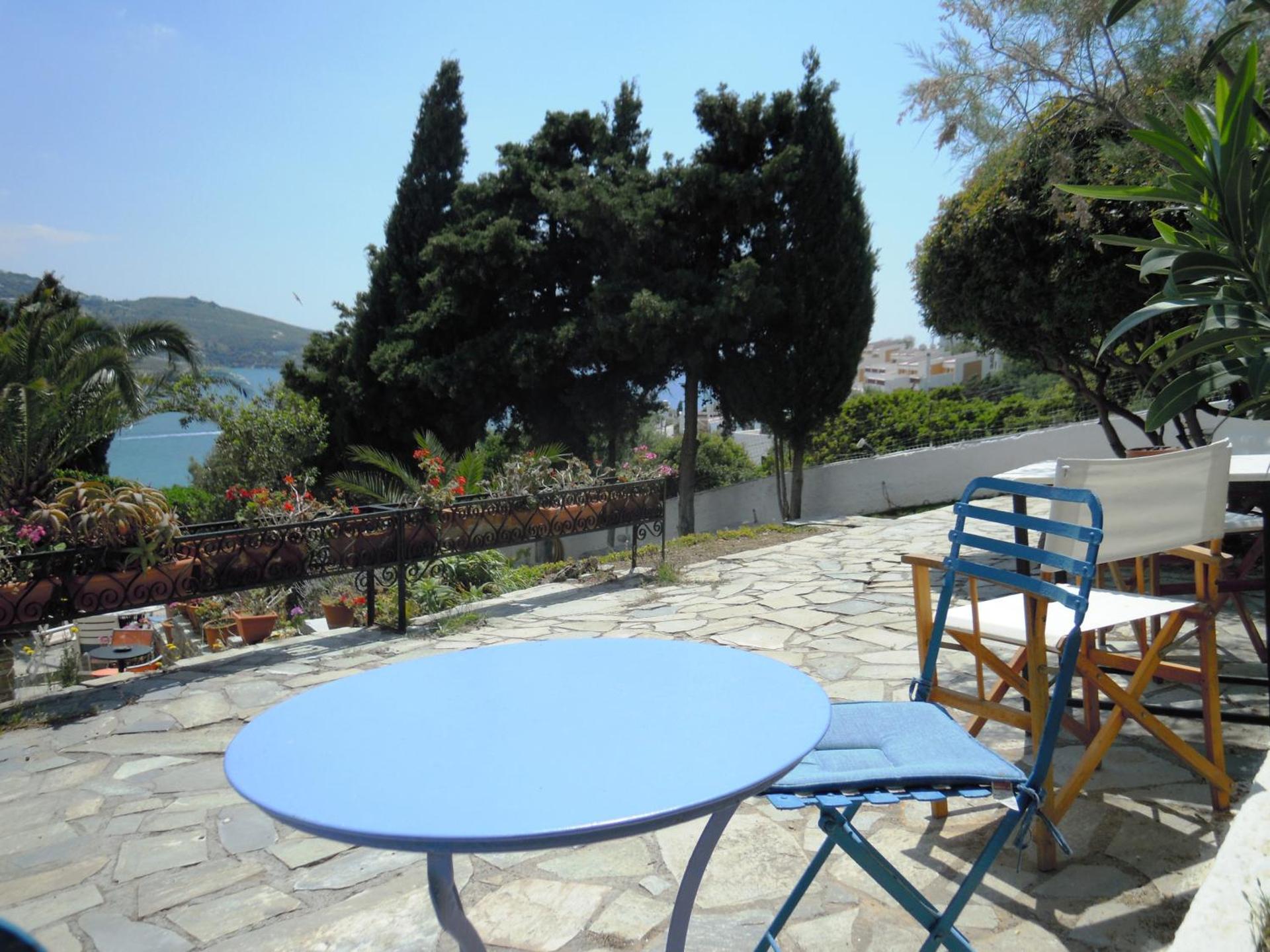 Blue Dolphin - Photo 172