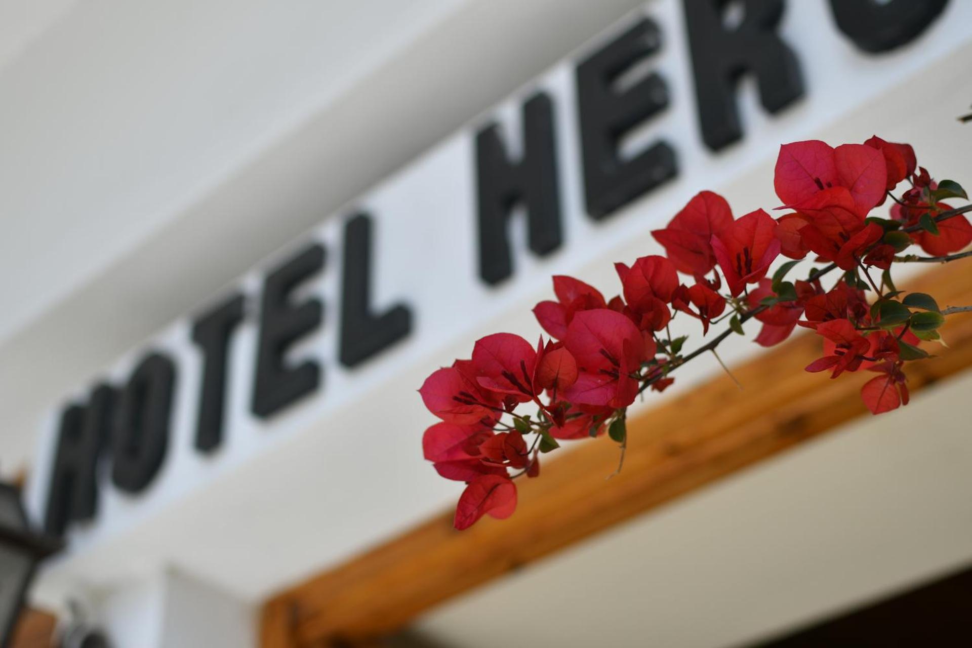 Hotel Hercules - Photo 2
