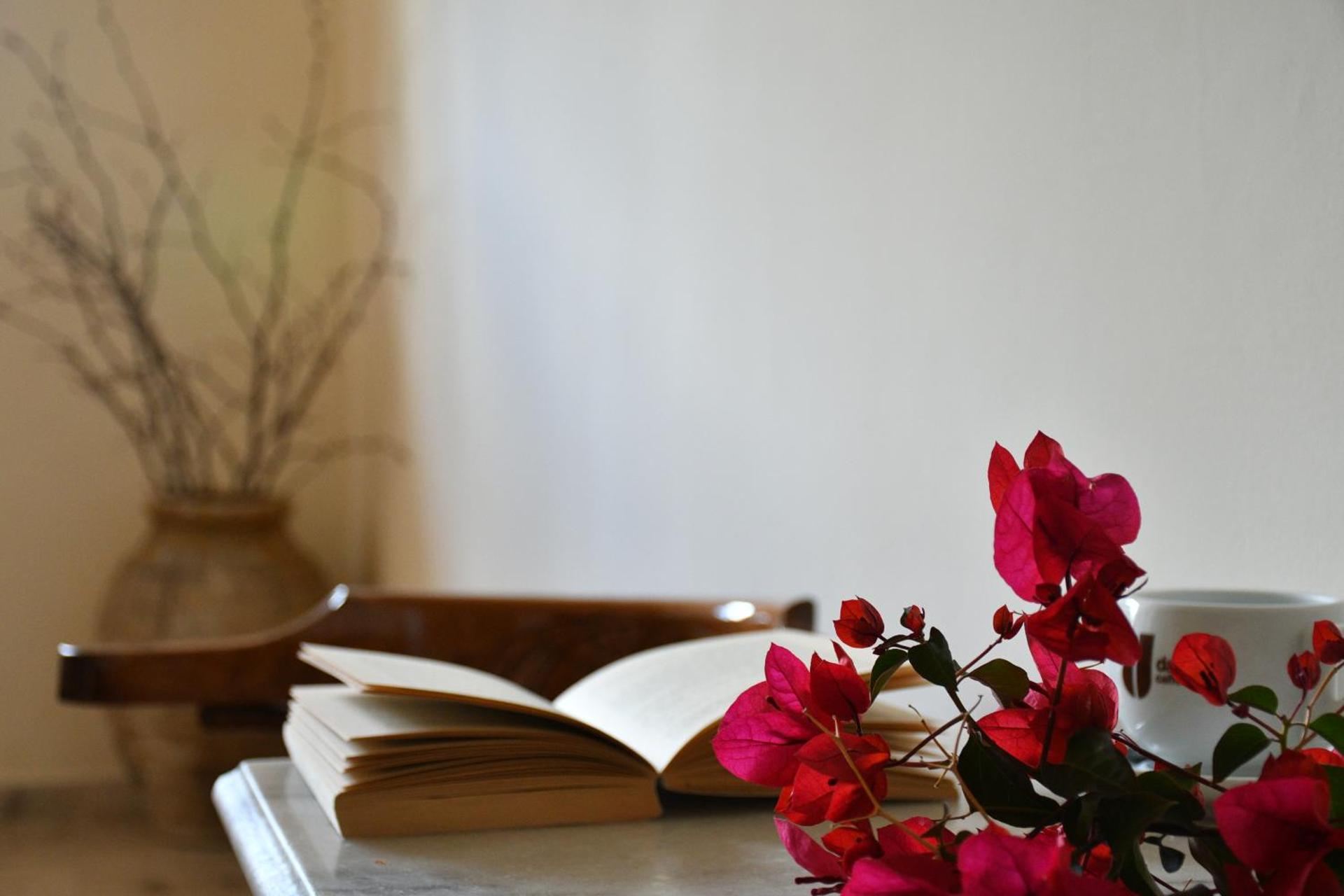 Hotel Hercules - Photo 26