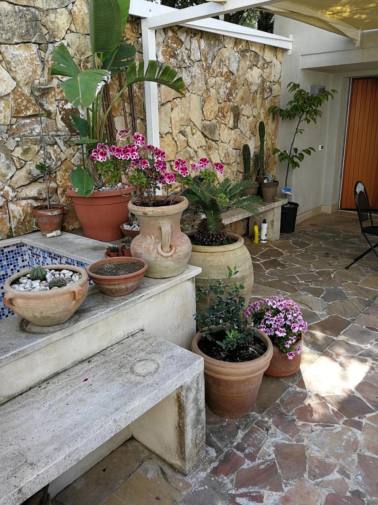 Il Giardino Dei Limoni - Photo 31