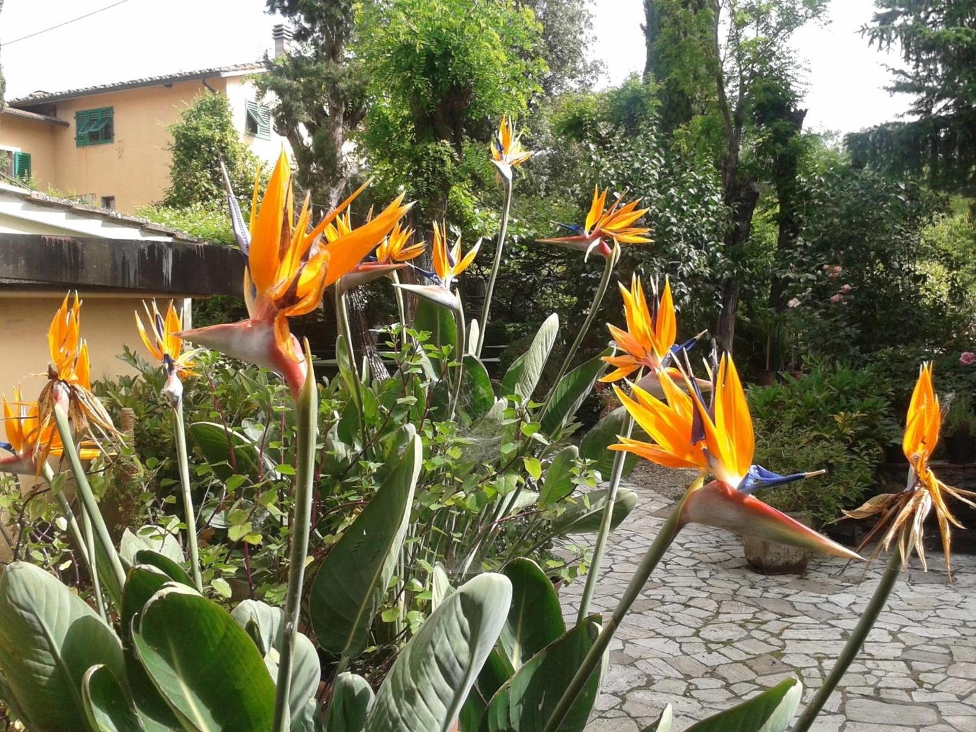 Residence Casprini da Omero - Photo 174