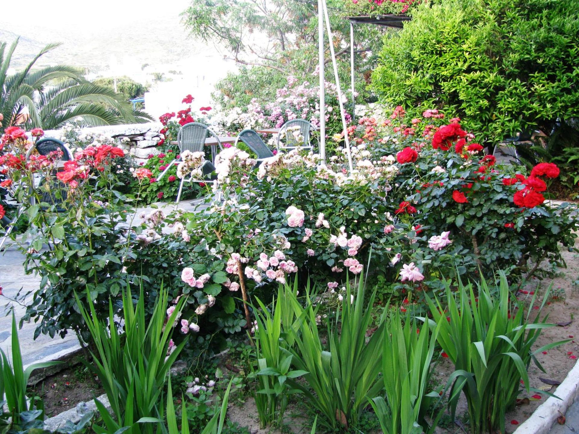 Anna Studios - Photo 20